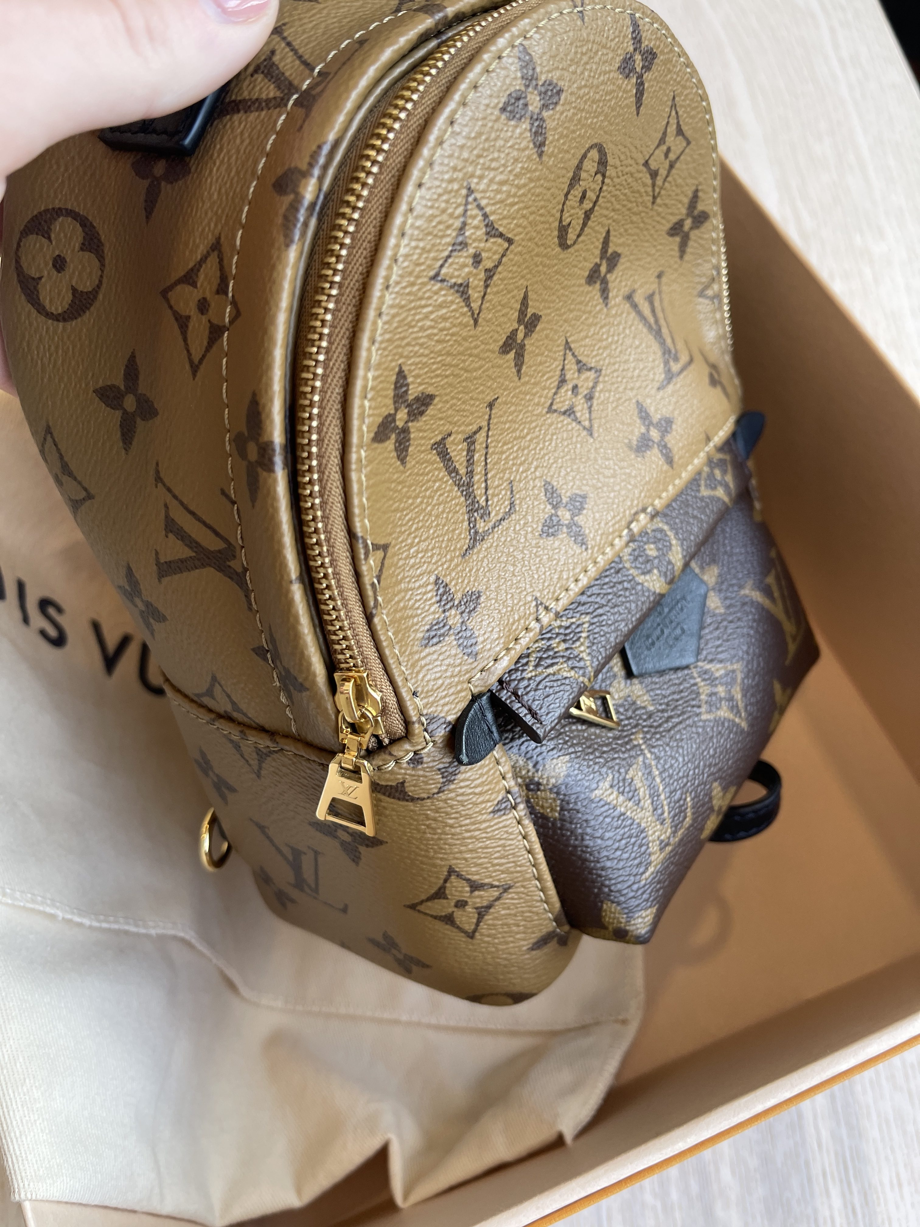 Louis Vuitton Palm Springs Mini Backpack Reverse New Zipper, New With  Dustbag