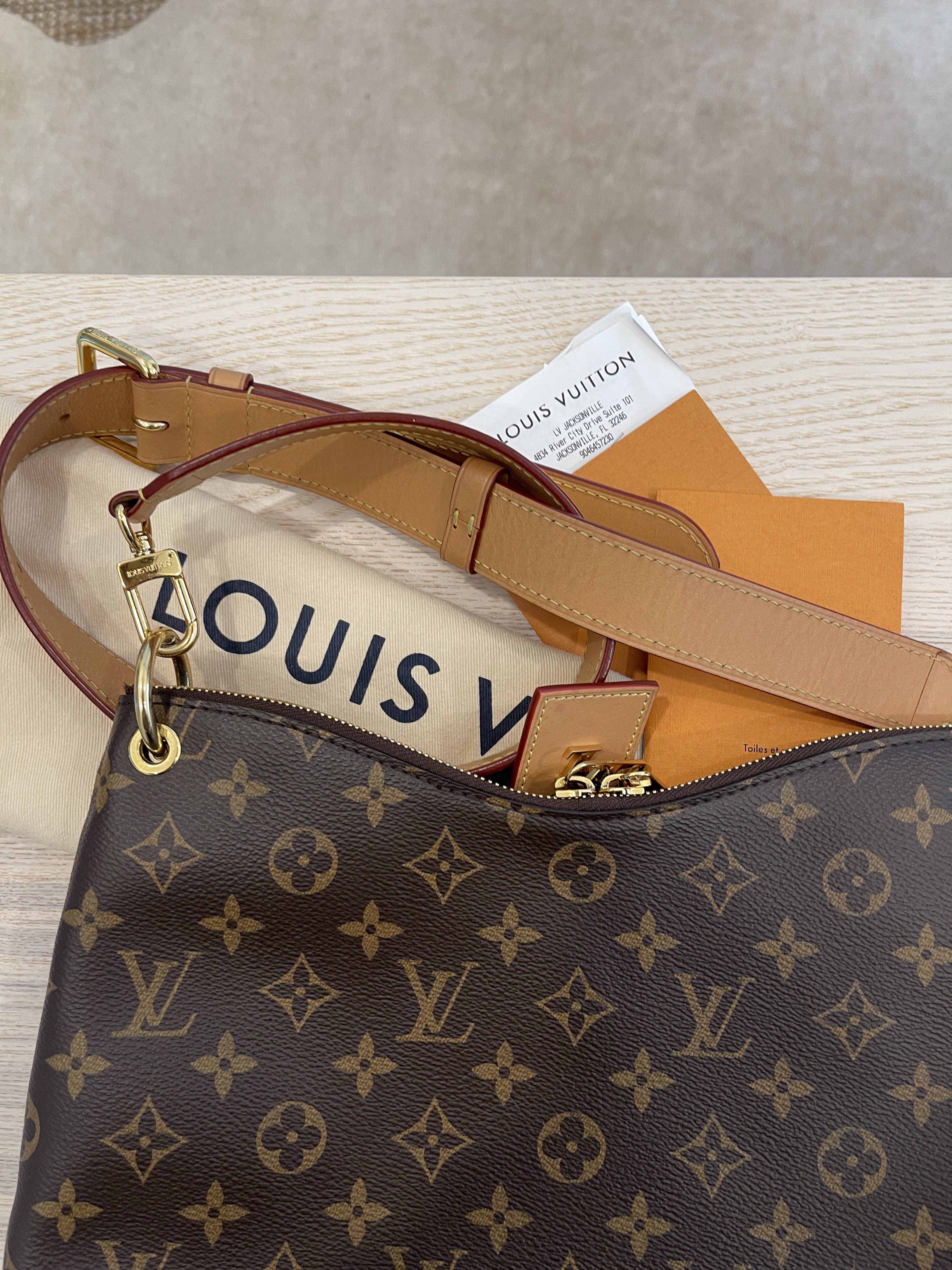 My LV Collection: Louis Vuitton Delightful MM, Odeon PM, and