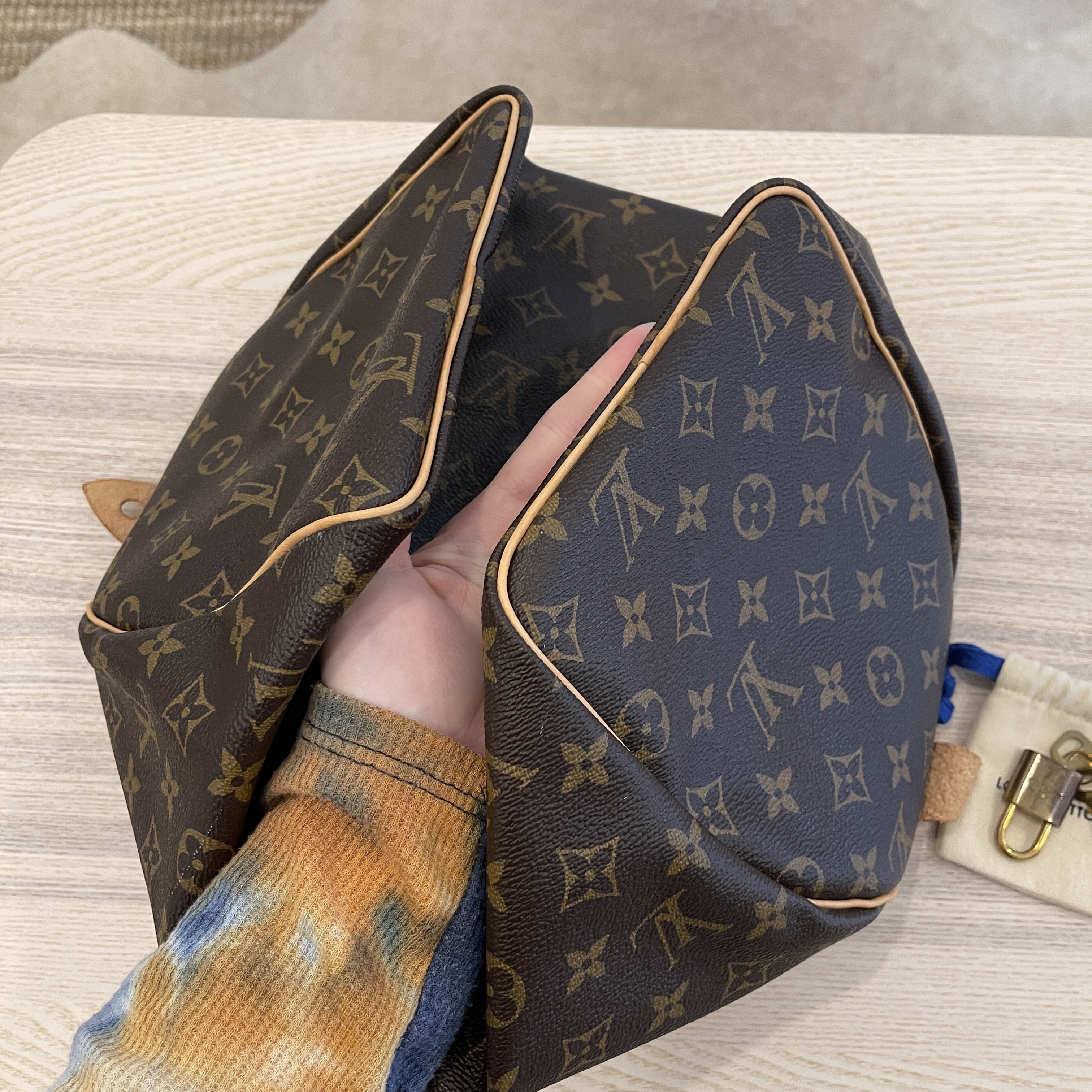 Louis Vuitton Speedy Handbag 390606