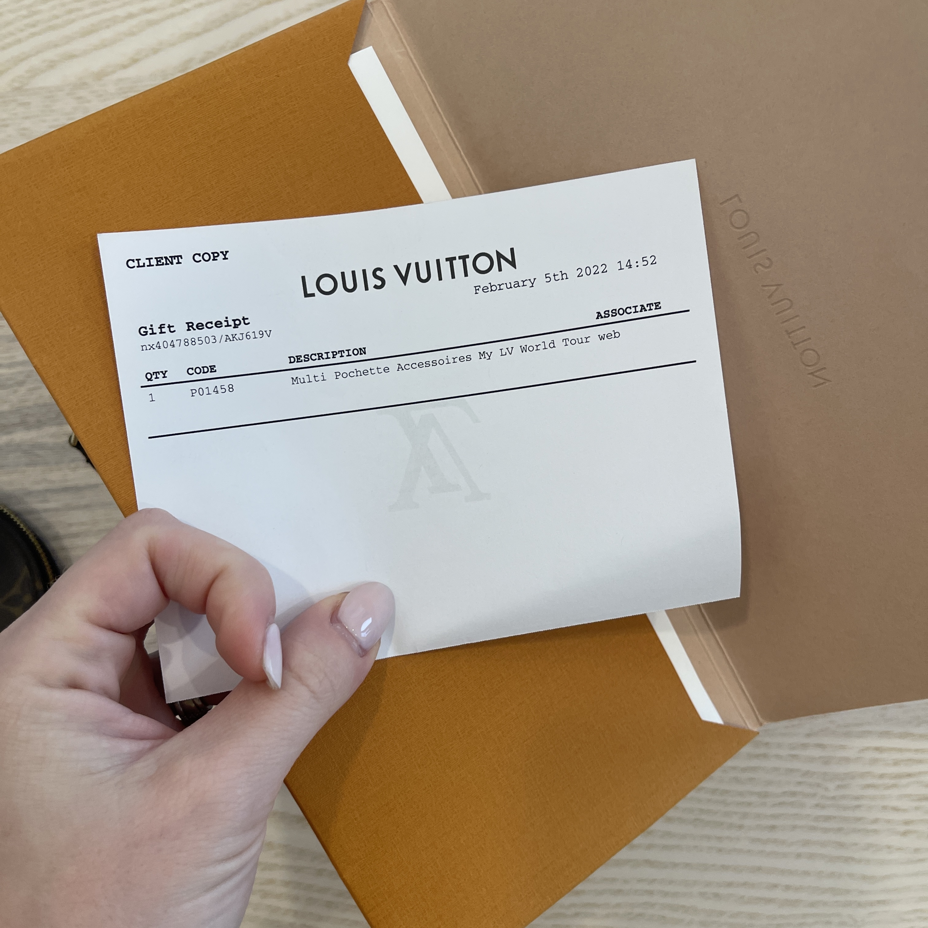 Louis Vuitton Monogram Multi Pochette Accessories My LV World