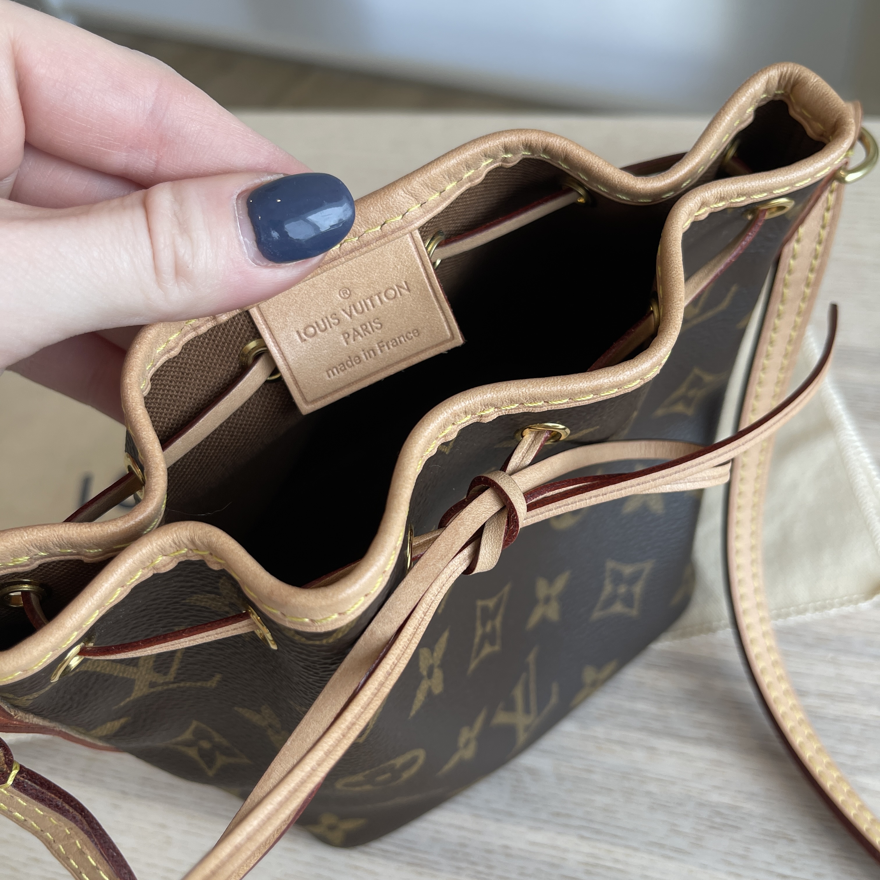What Fits Inside Louis Vuitton Nano Noe Monogram Canvas Handbag? 