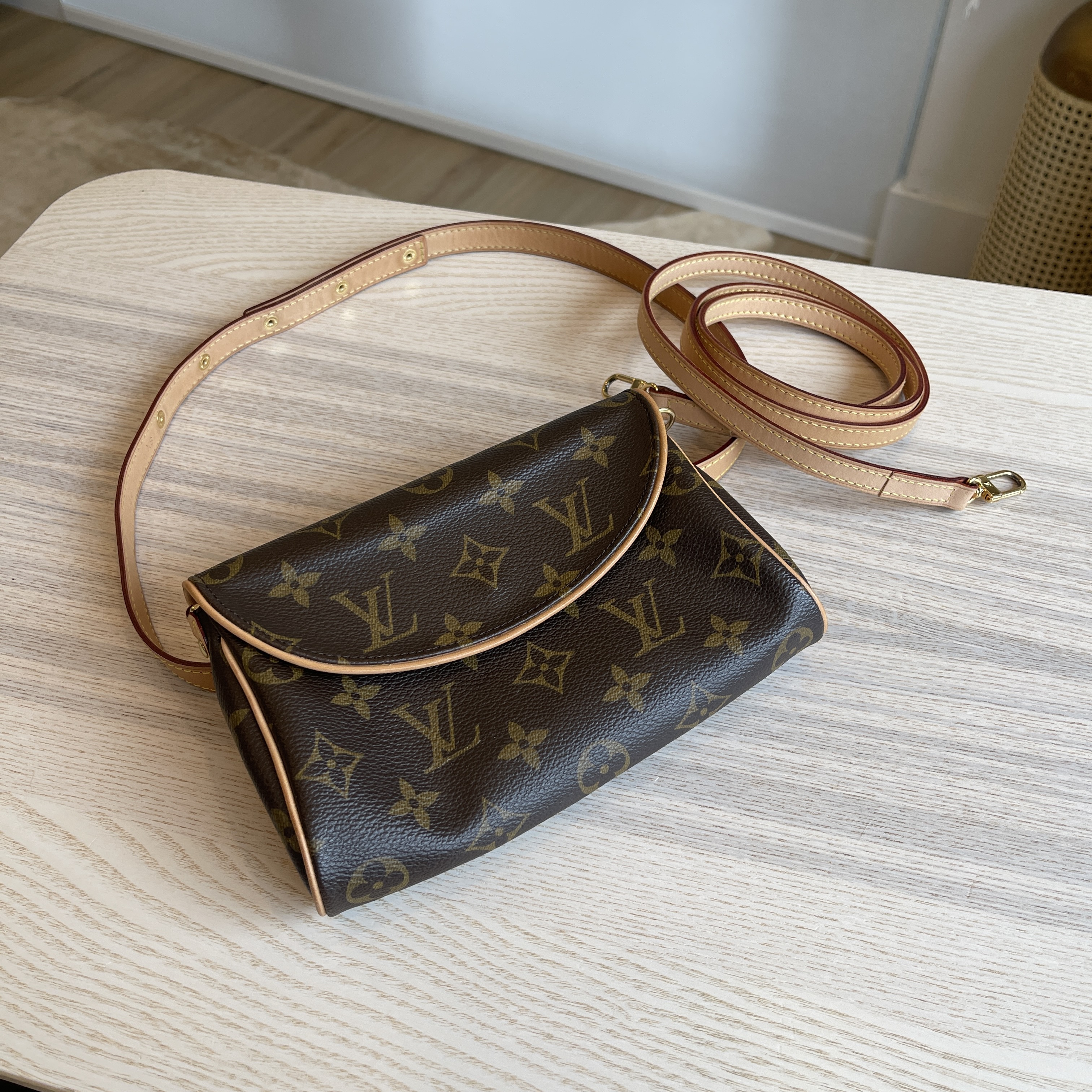 Louis Vuitton Monogram Canvas Pochette Friendly Bag