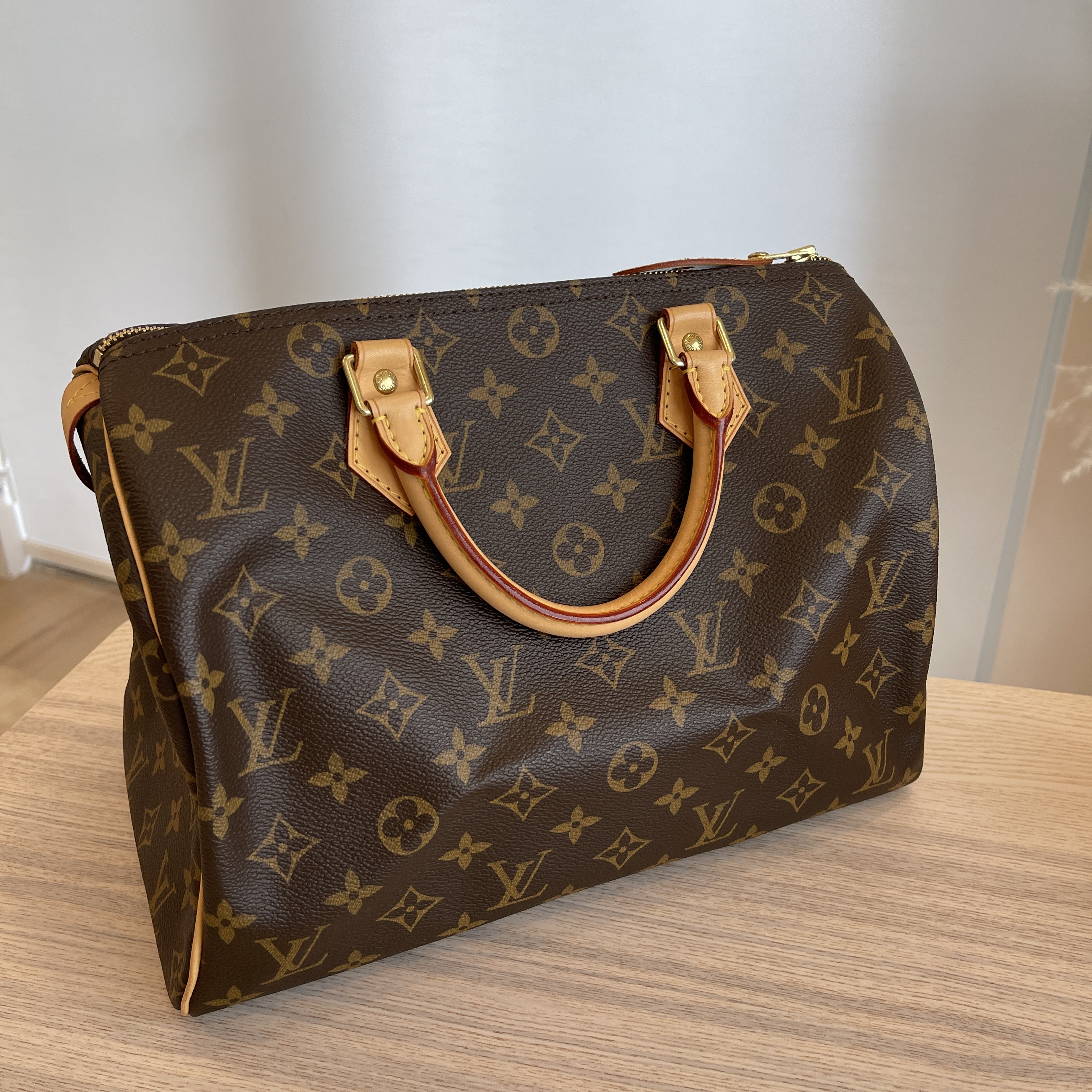 Louis Vuitton Speedy Handbag 338018