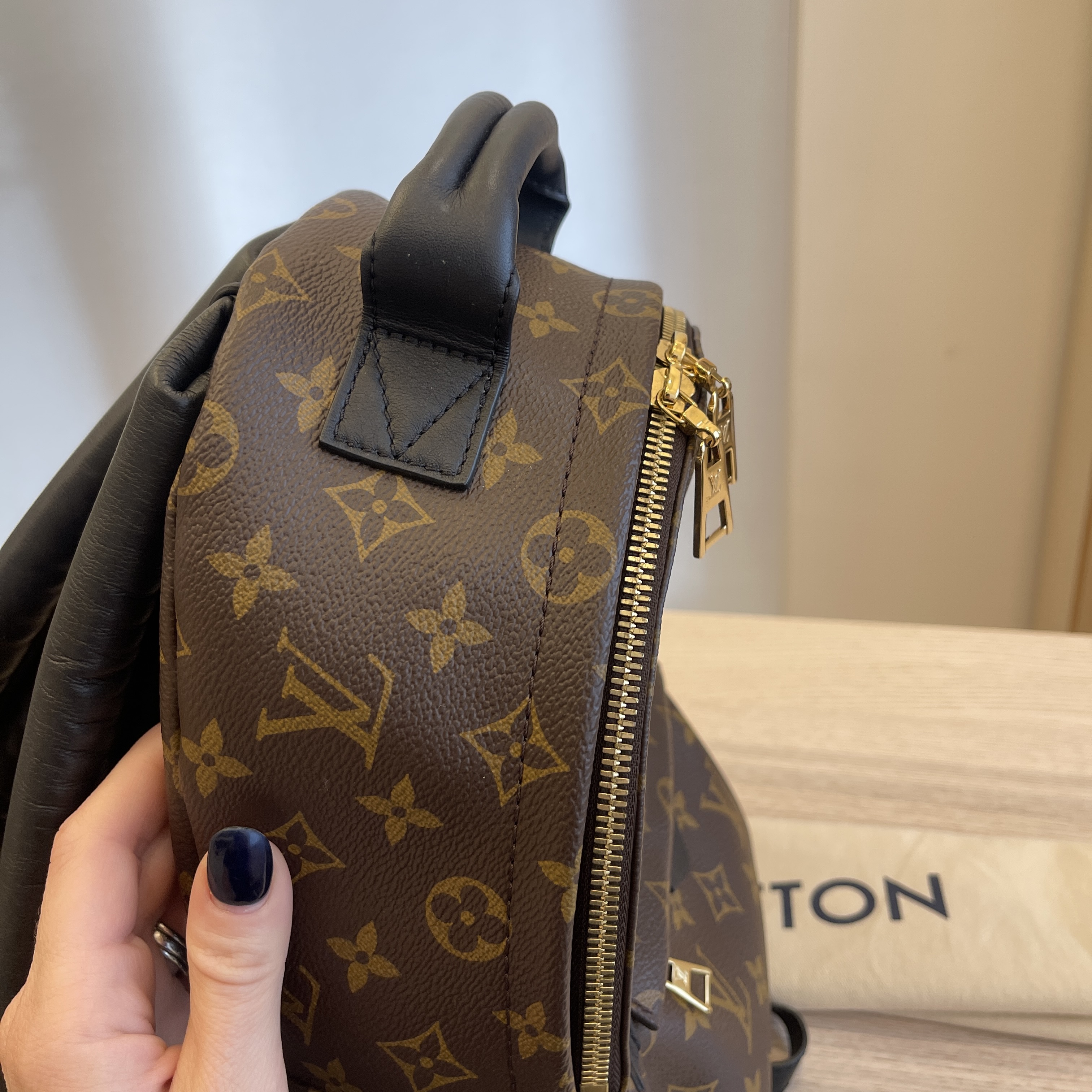 Louis Vuitton Inventpdr Backpack