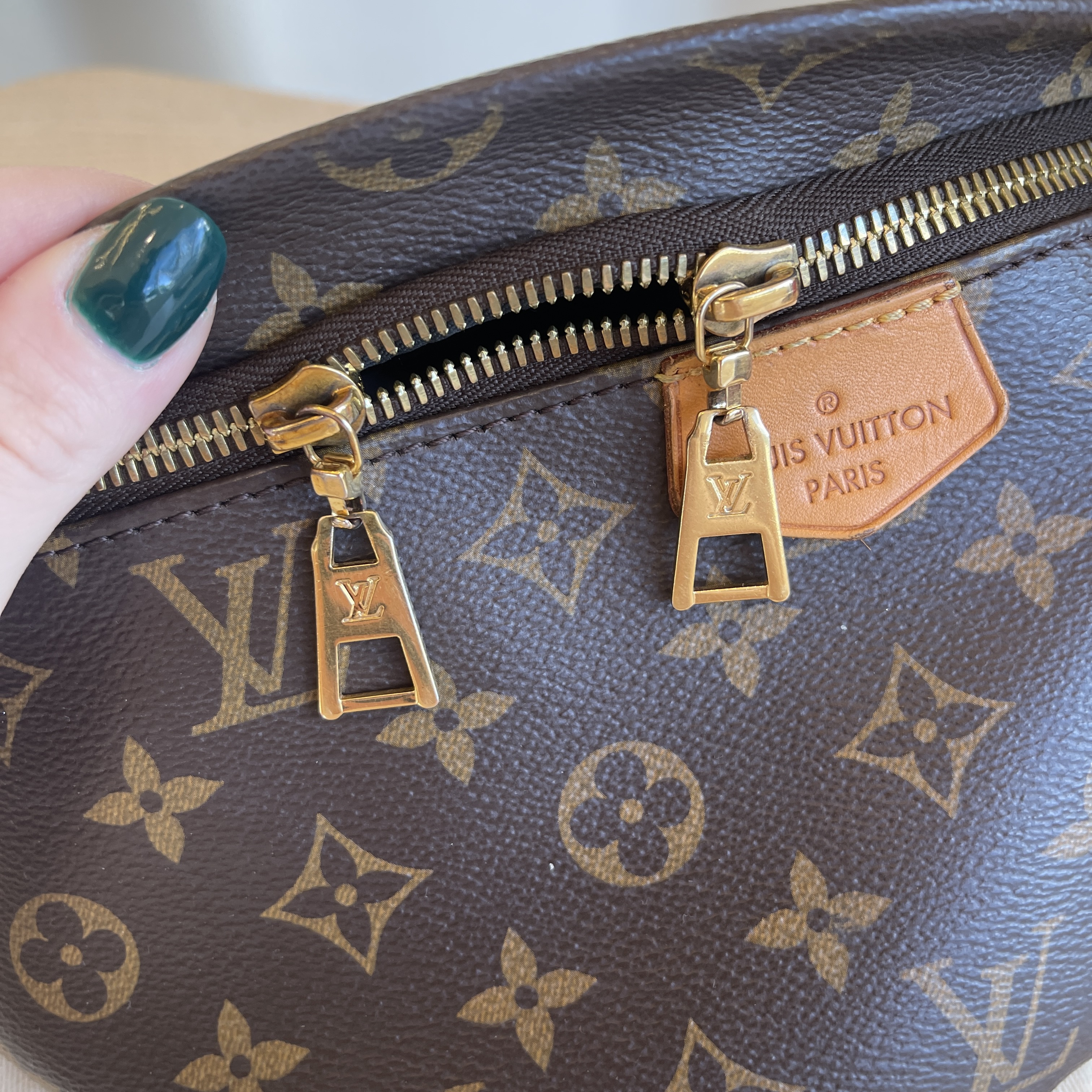 Louis Vuitton Monogram Bumbag