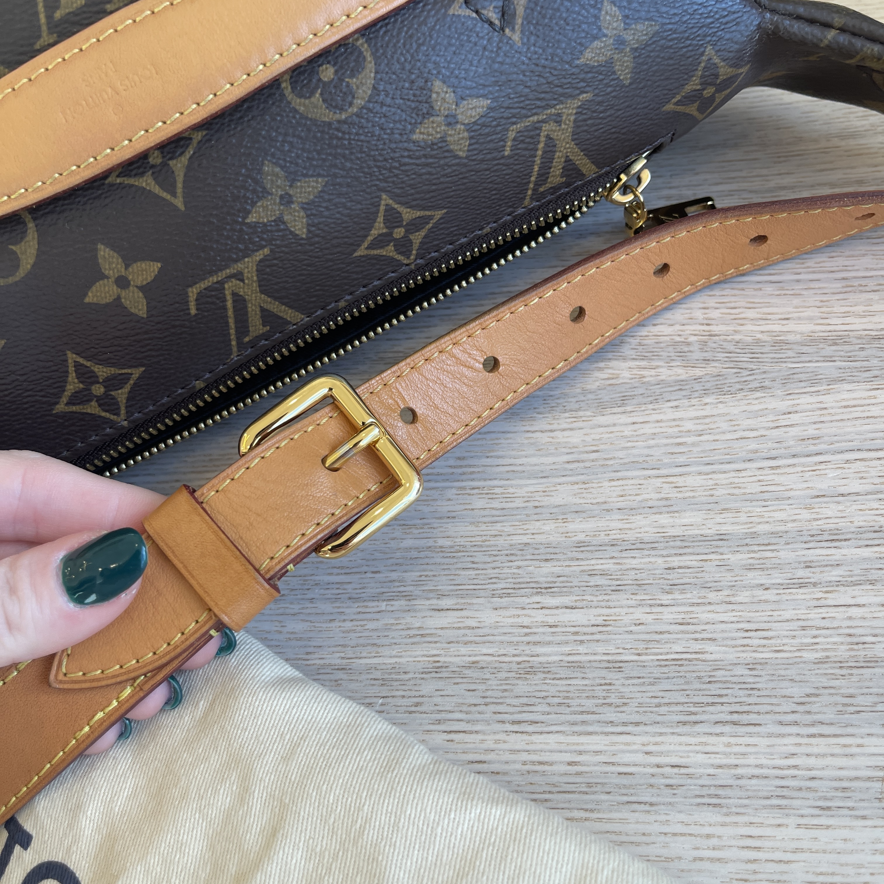 Louis Vuitton Monogram Bumbag – DAC