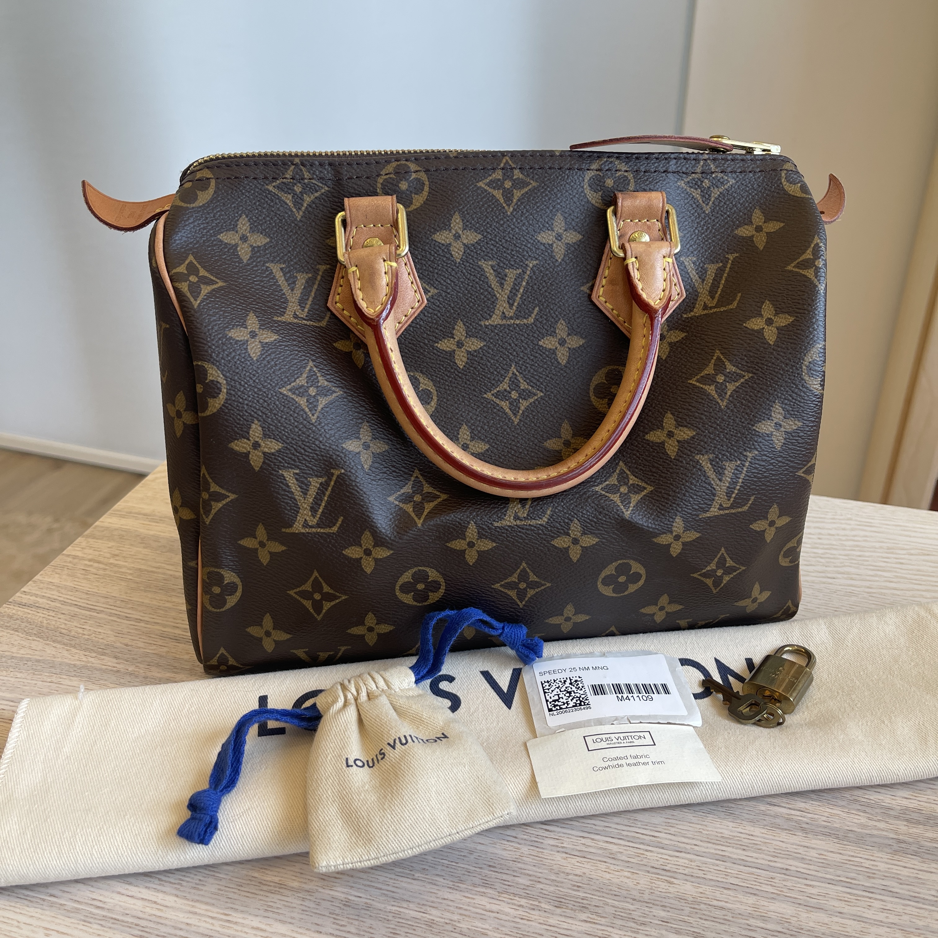 Louis Vuitton Speedy 25 Monogram - SOLD