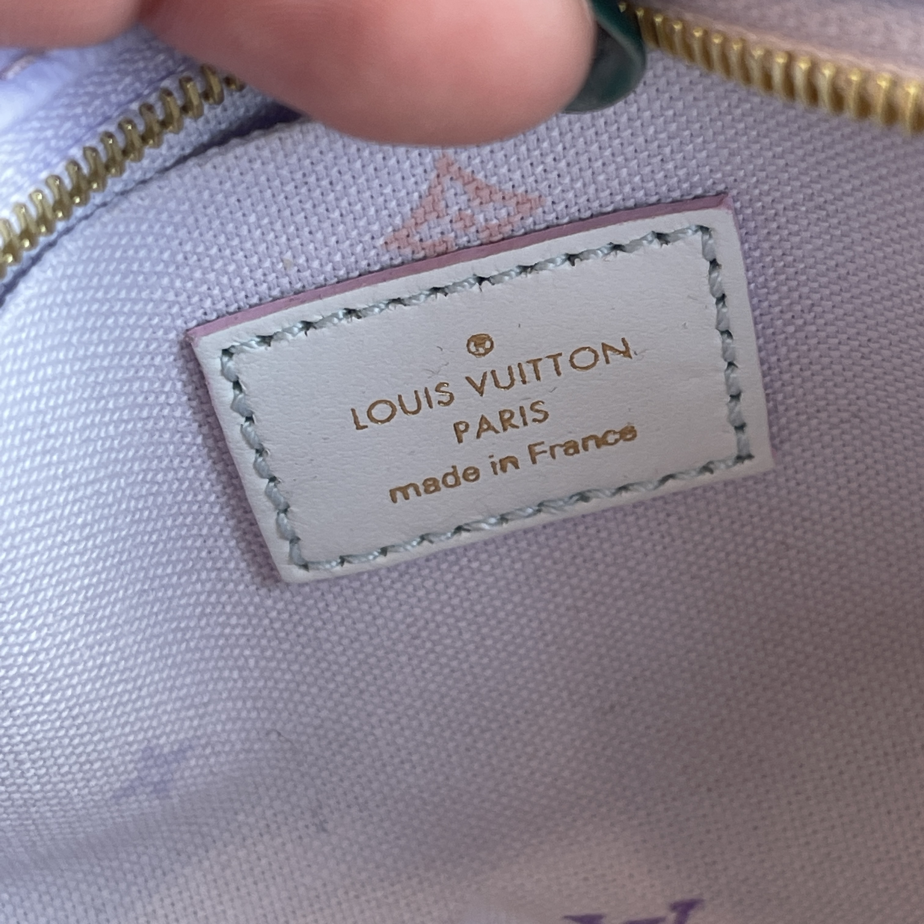 Authentic NEW Louis Vuitton Pastel Escale Giant Monogram Wapity Case –  Paris Station Shop