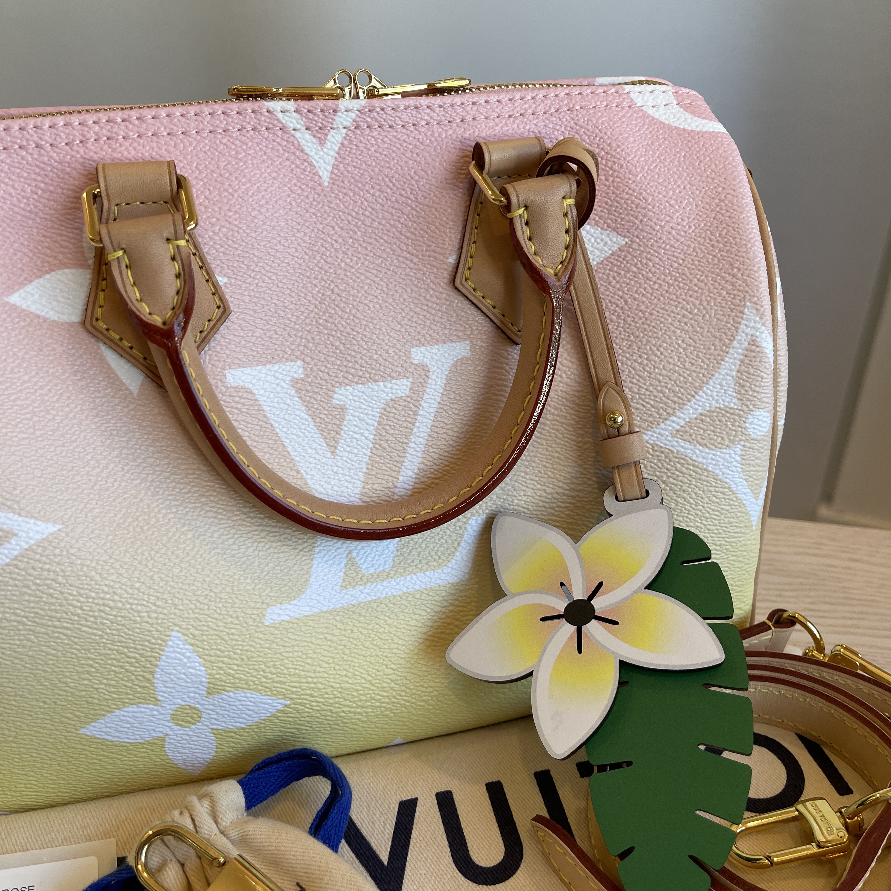 Louis Vuitton Monogram Giant By The Pool Speedy 25 Light Pink