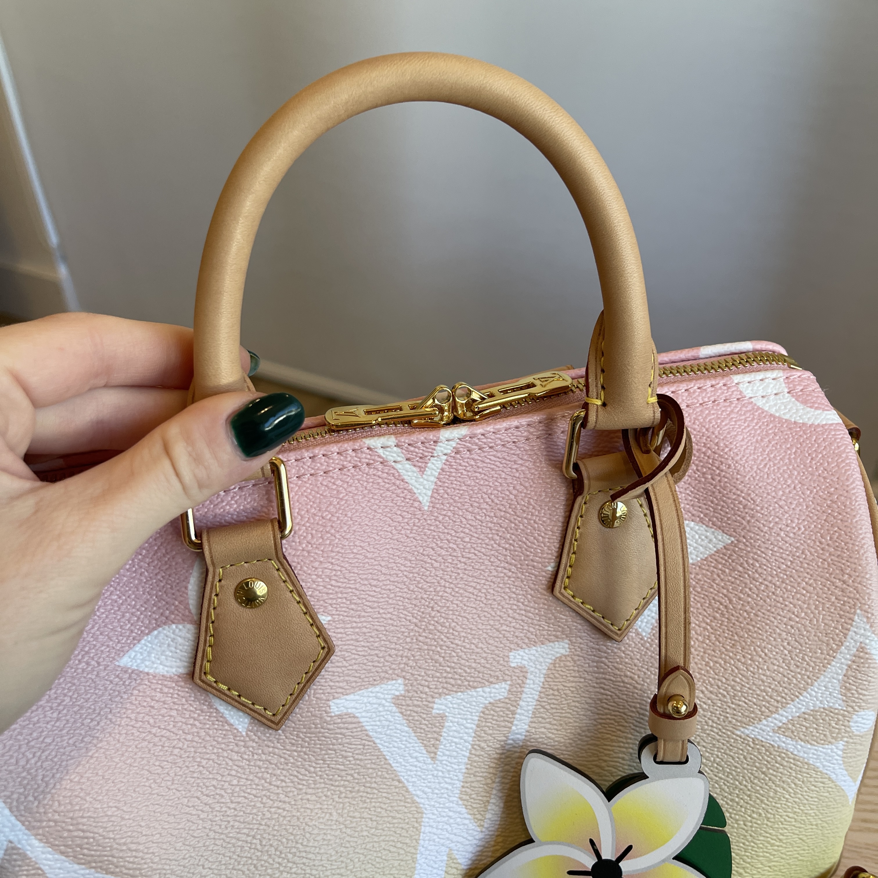 Review My Lux] Louis Vuitton Pool collection Speedy 25 pink 2021
