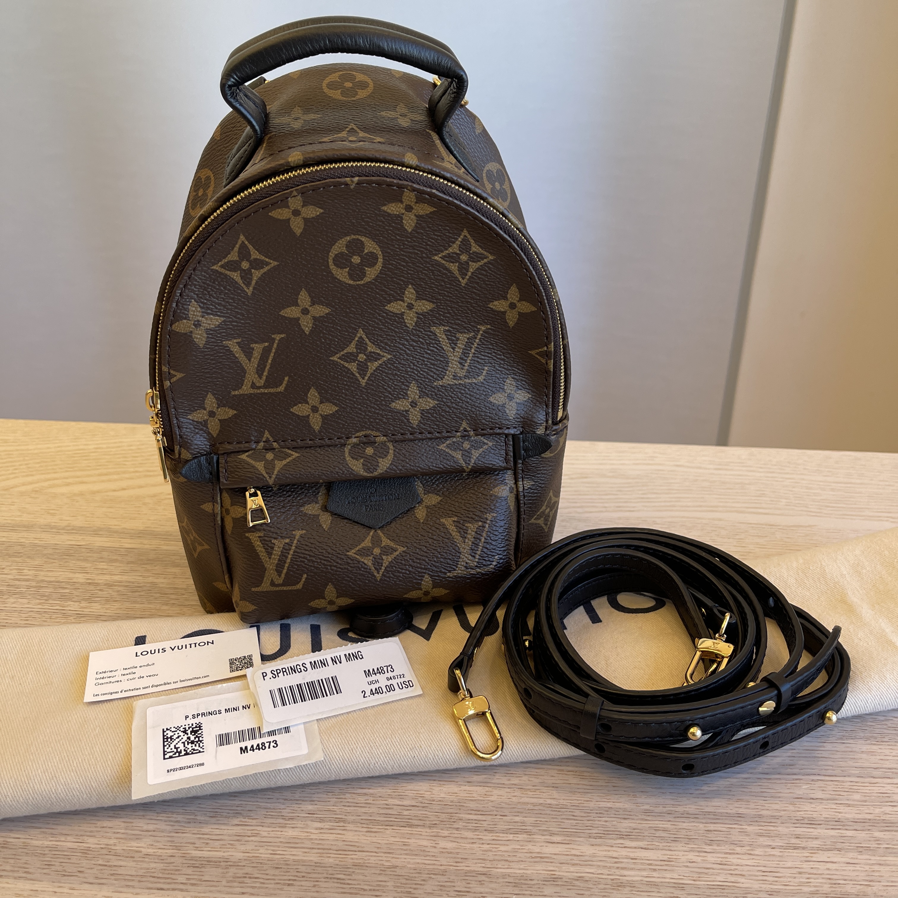 Buy Louis Vuitton Palm Springs Mini Backpack M44873 at