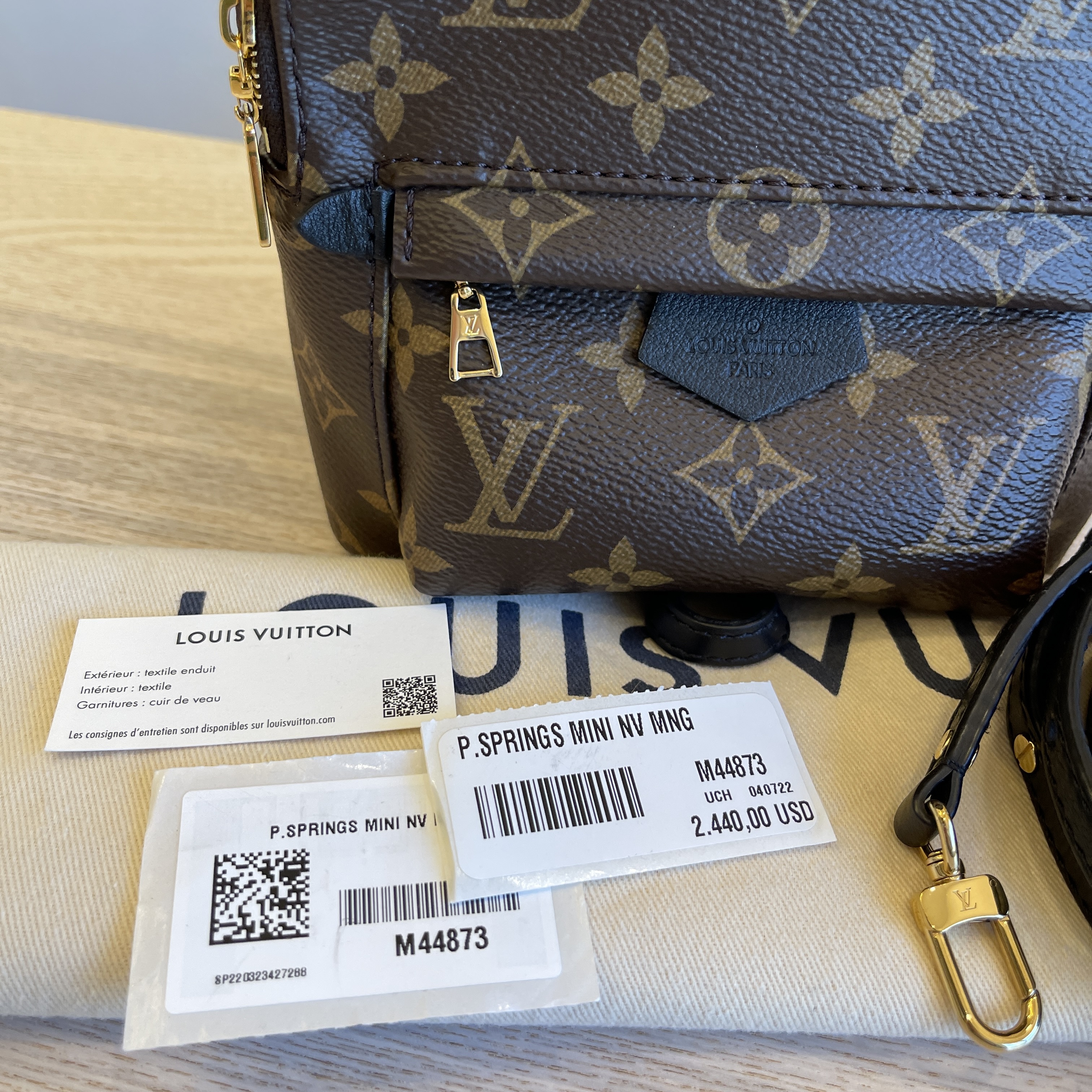 Louis Vuitton Monogram Palm Springs Mini NV