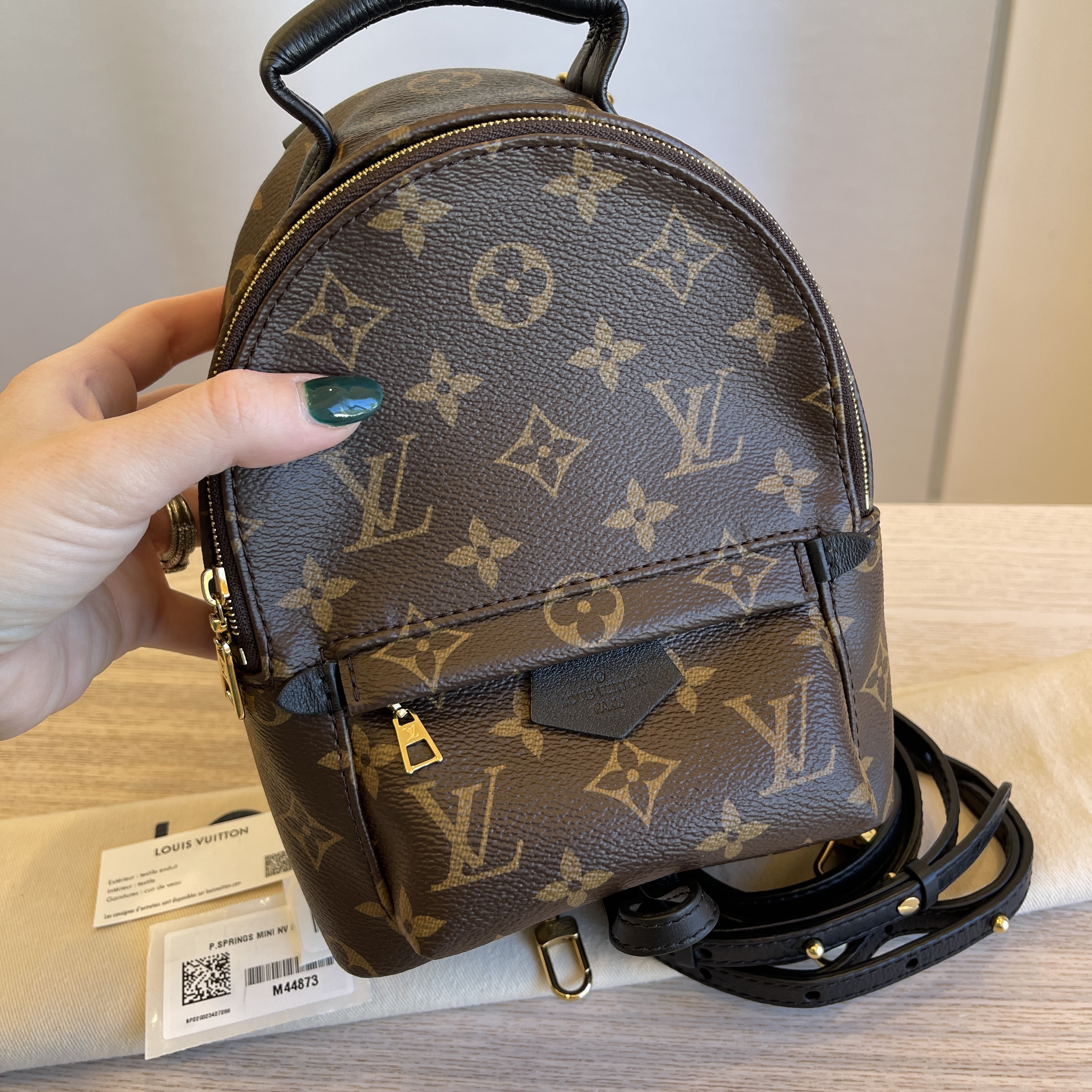 Louis Vuitton Monogram Mini Palm Springs Brown - NOBLEMARS