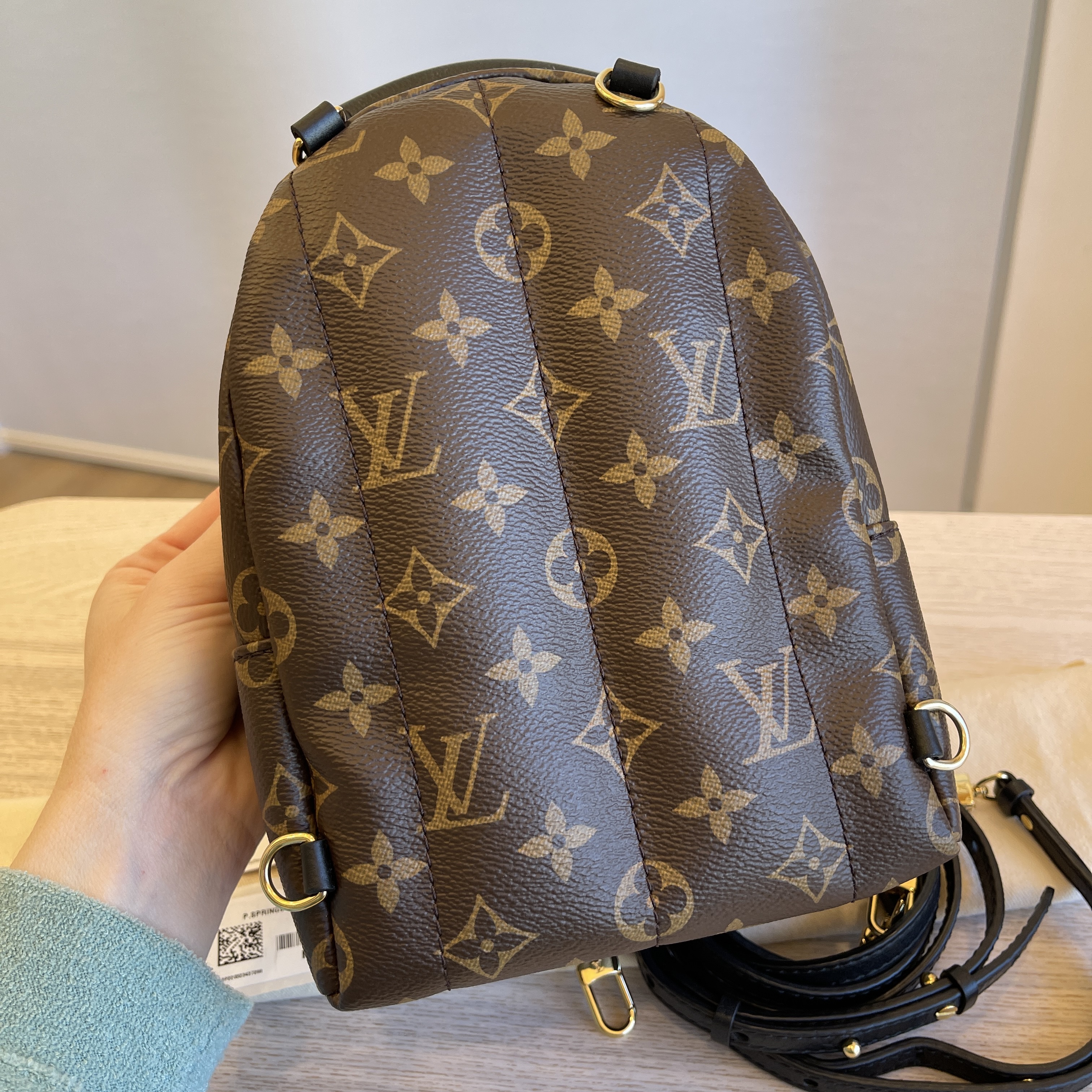 Louis Vuitton Palm Springs Monogram (Updated Zipper) Mini Brown