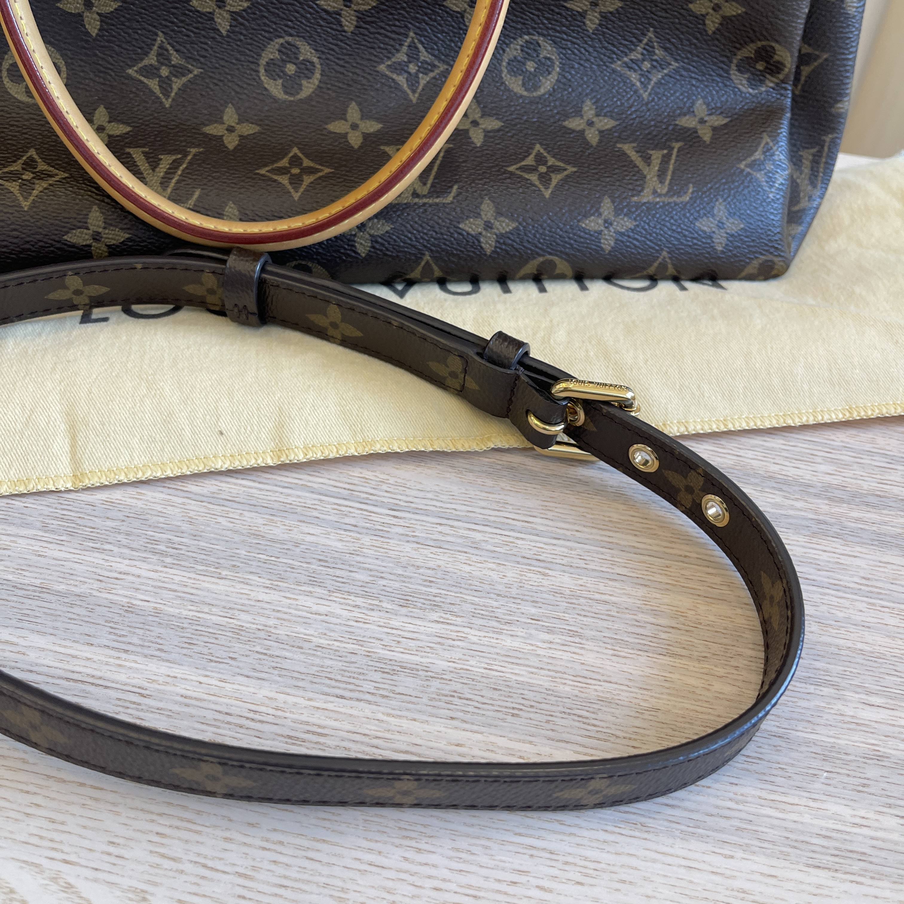 LOUIS VUITTON Monogram Pallas Pochette Pistache 1257732