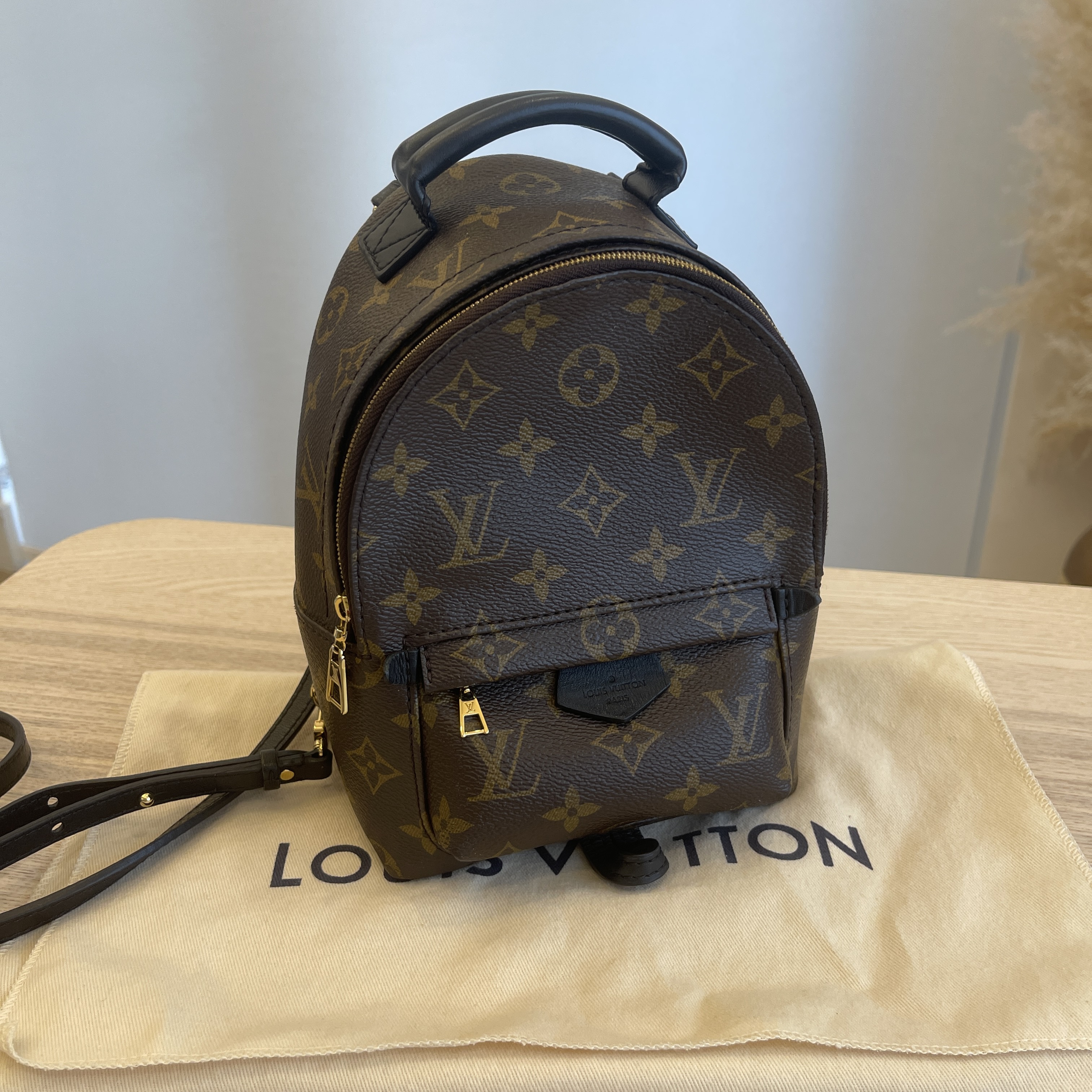 Louis Vuitton Palm Springs Monogram (Updated Zipper) Mini Brown