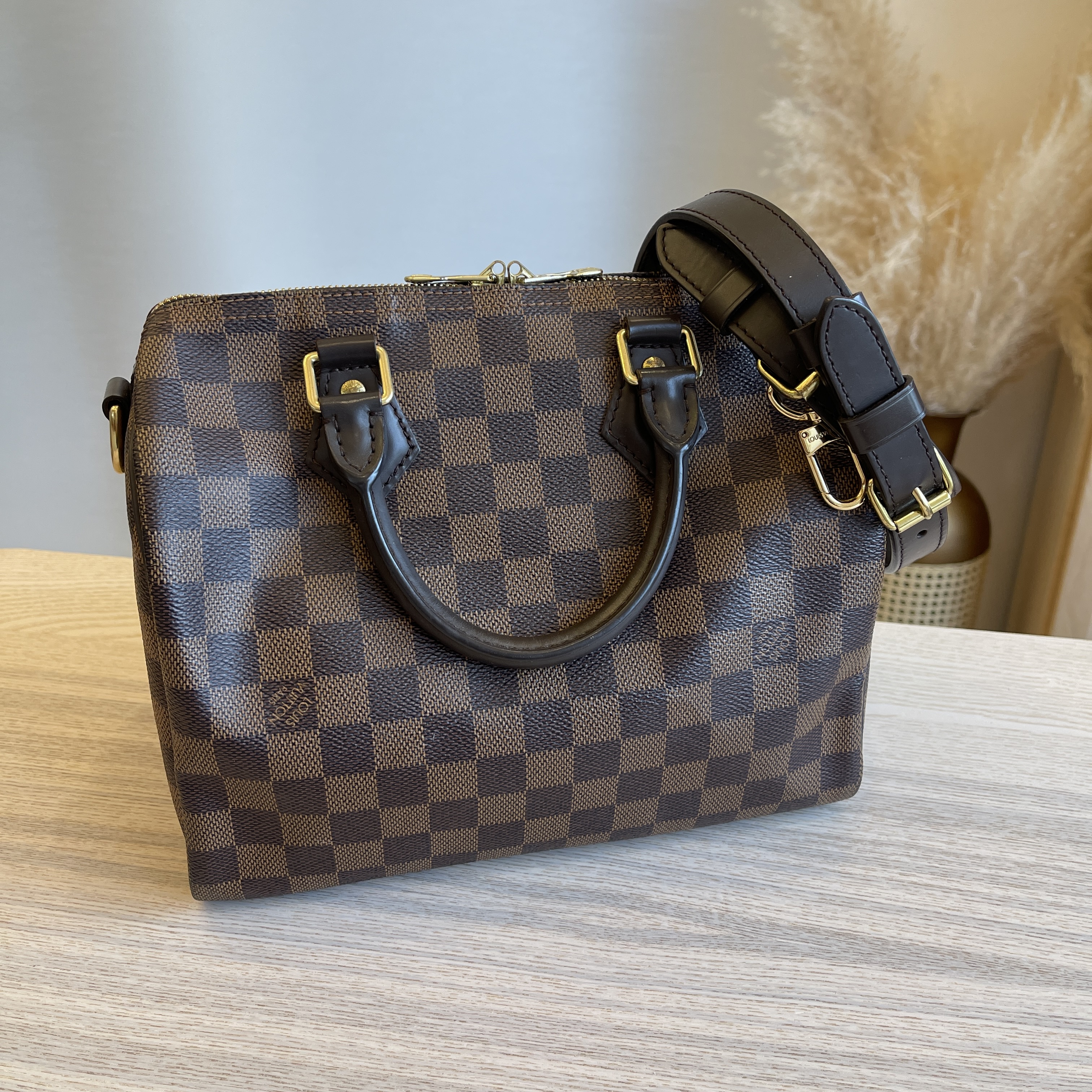 Louis Vuitton Damtier Ebene Alma PM NM w/Strap