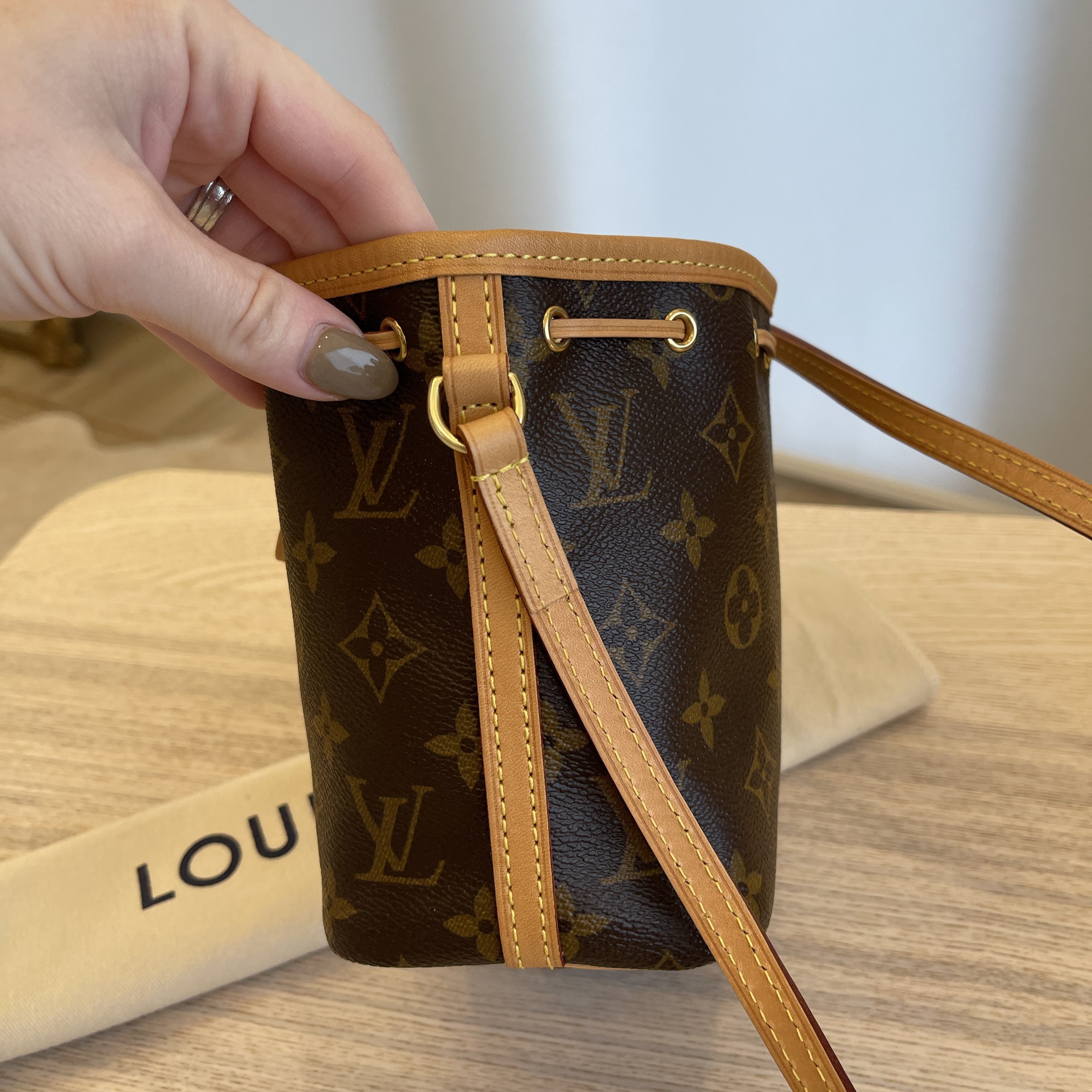 Louis Vuitton Nano Noe Bag