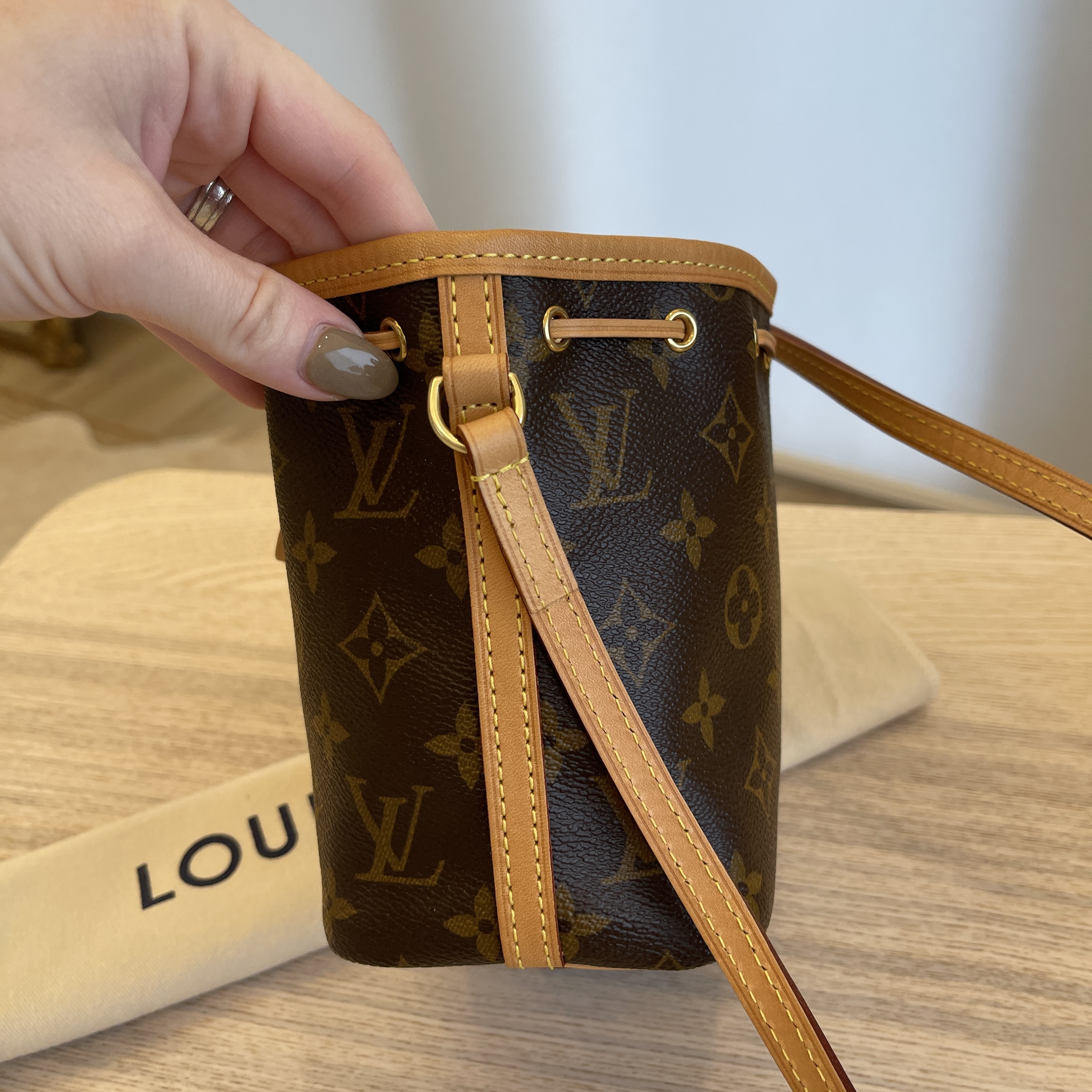 Louis Vuitton Monogram Canvas Nano Noe Bag