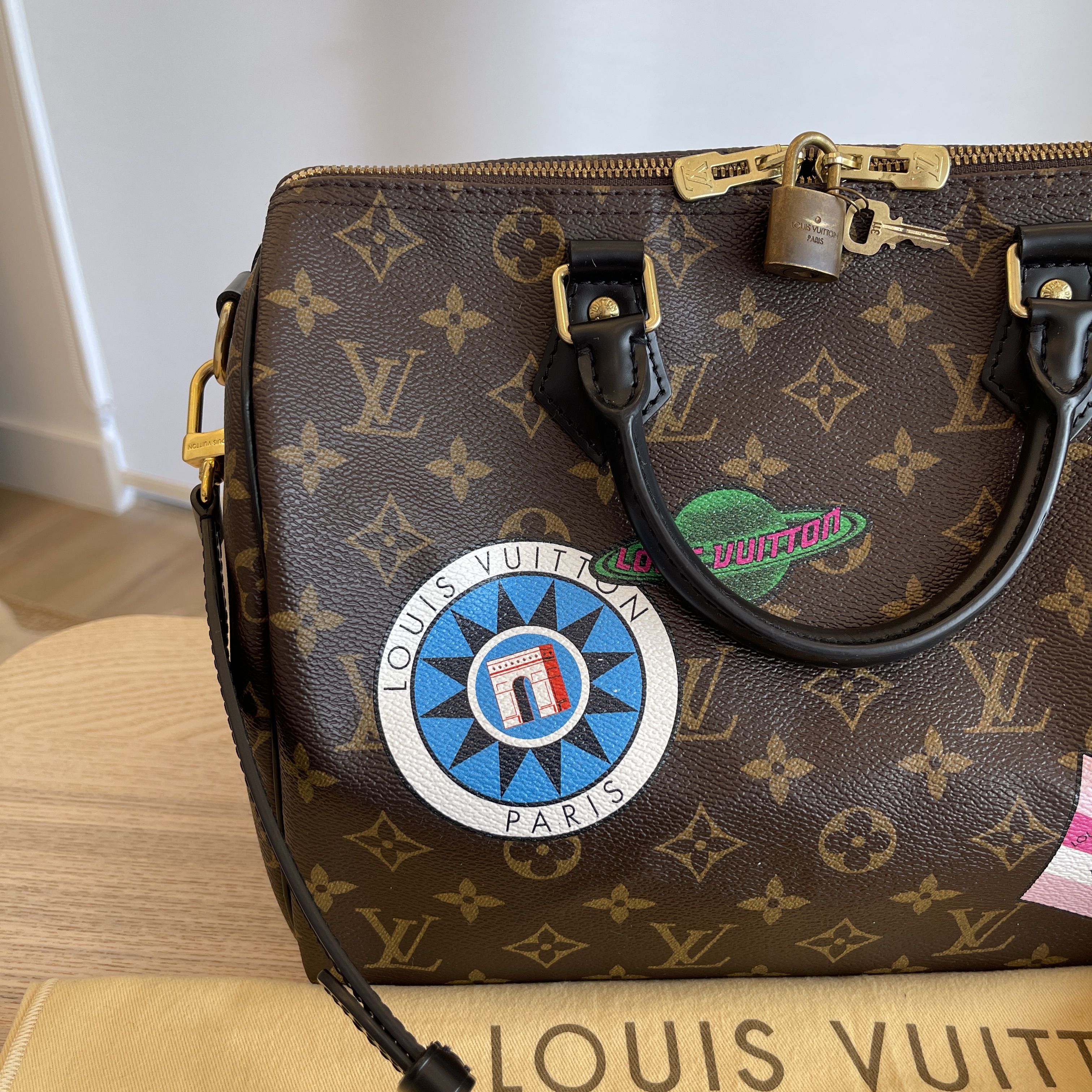 louis vuitton speedy world tour