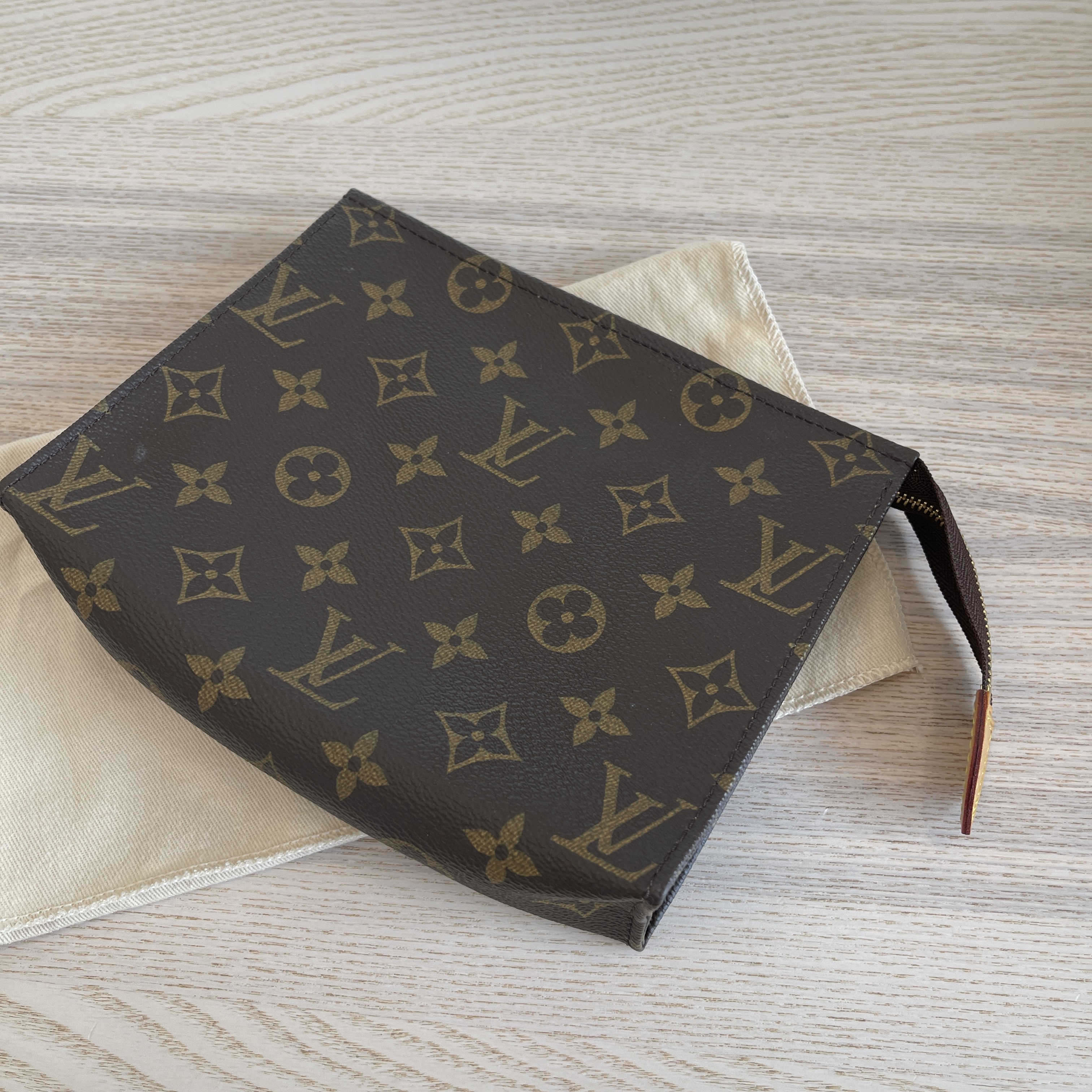 Louis Vuitton Toiletry Pouch 19(Brown)