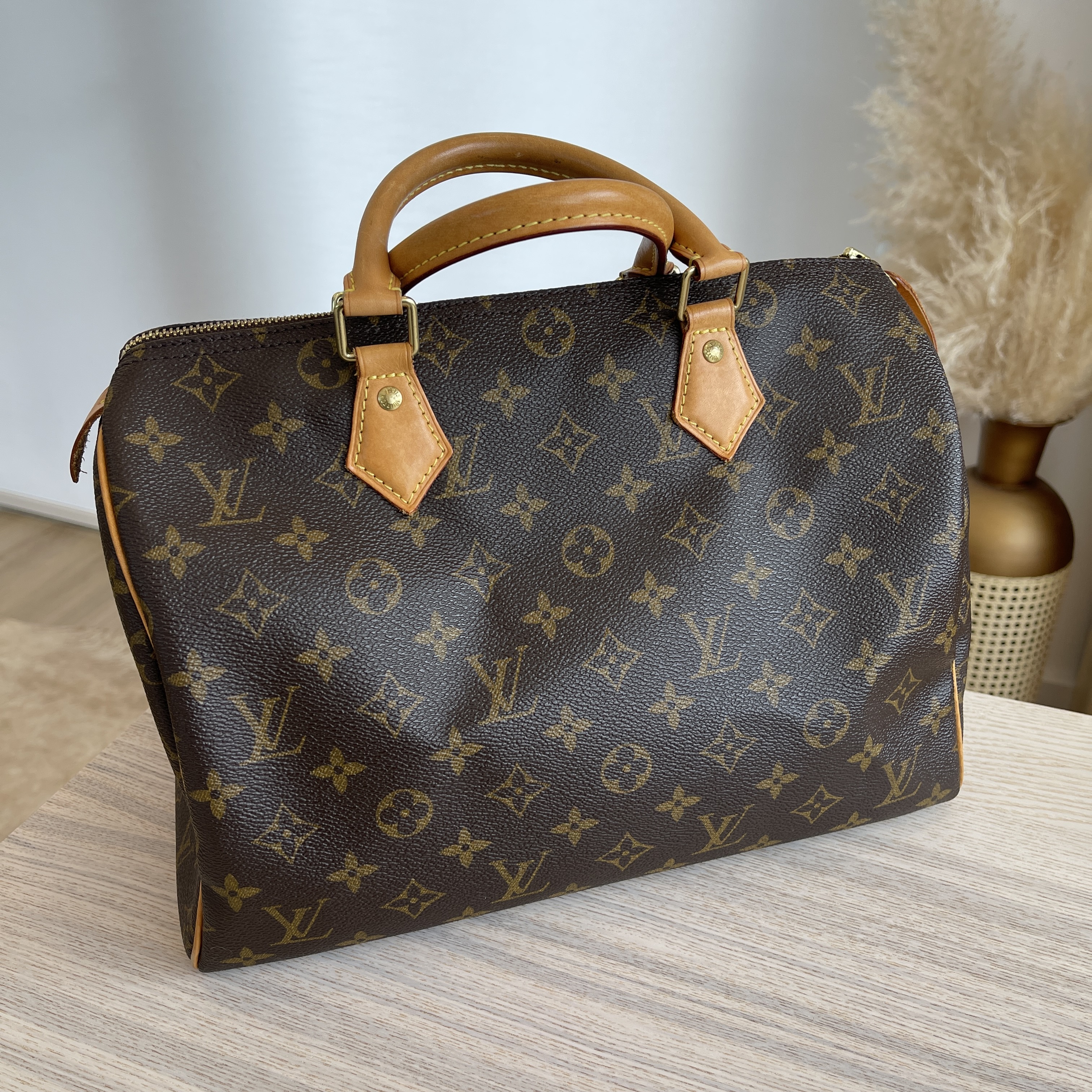 speedy 15 louis vuitton