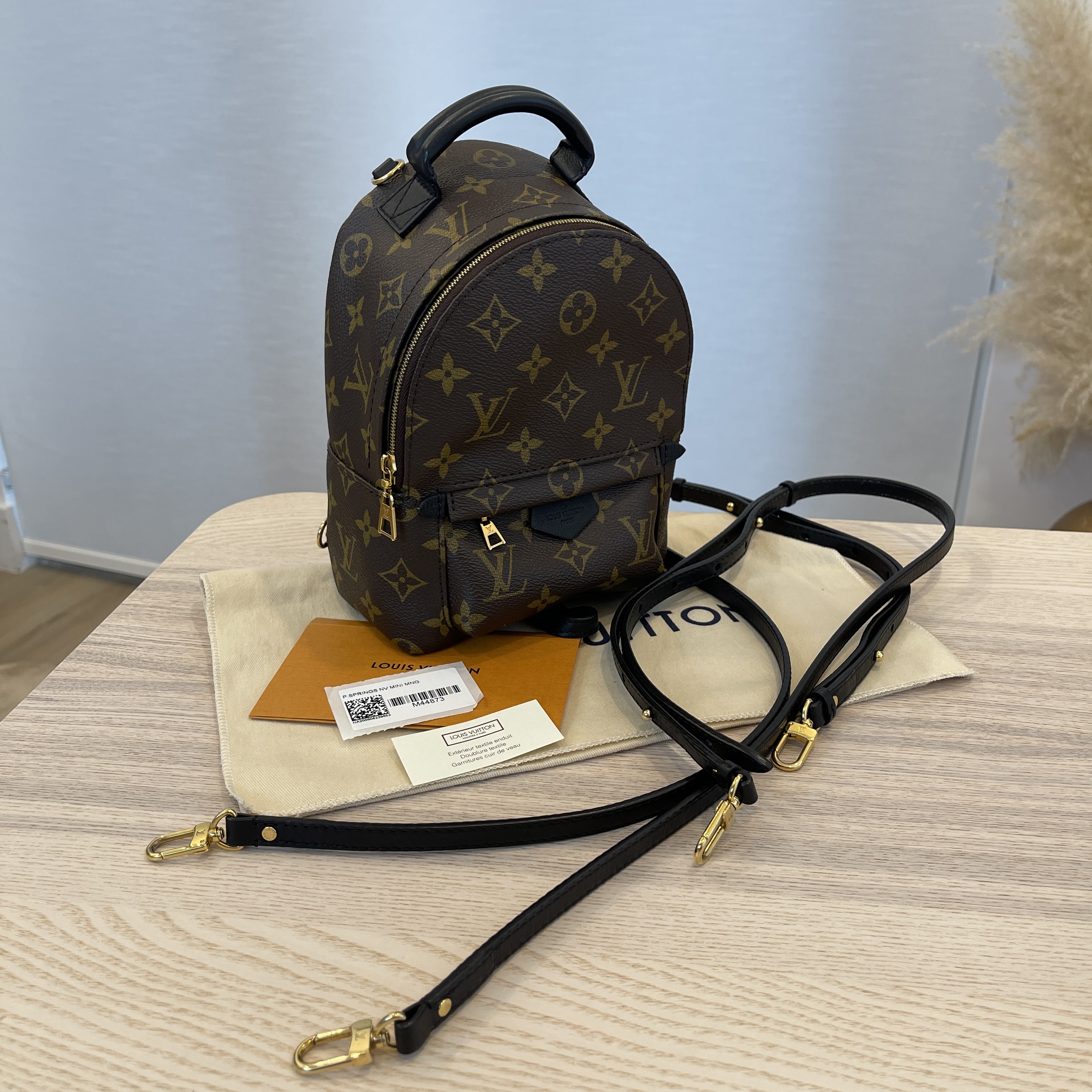 New Louis Vuitton Palm Springs Mini Backpack M44873