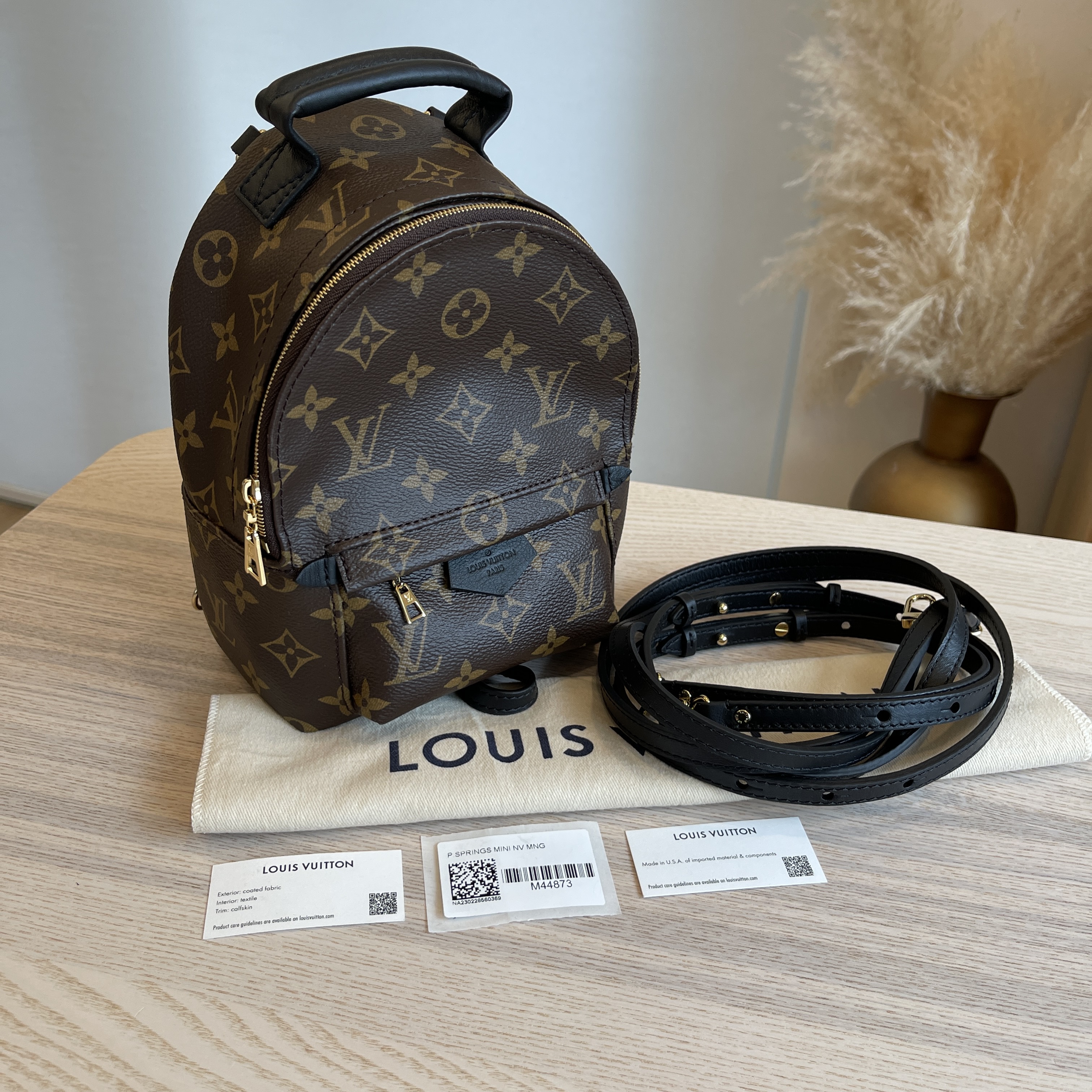 Louis Vuitton Palm Springs Mini (PALM SPRINGS MINI BACKPACK, M44873)