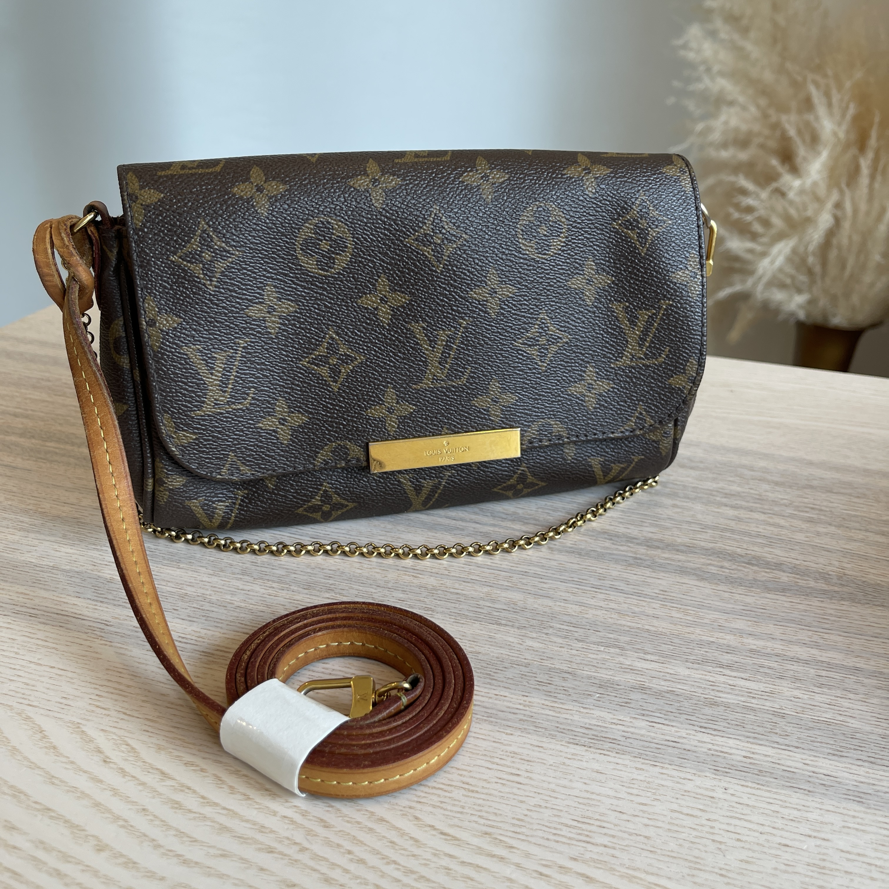 Louis Vuitton Favorite PM in Monogram  Louis vuitton favorite pm, Louis  vuitton favorite, Louis vuitton favorite mm