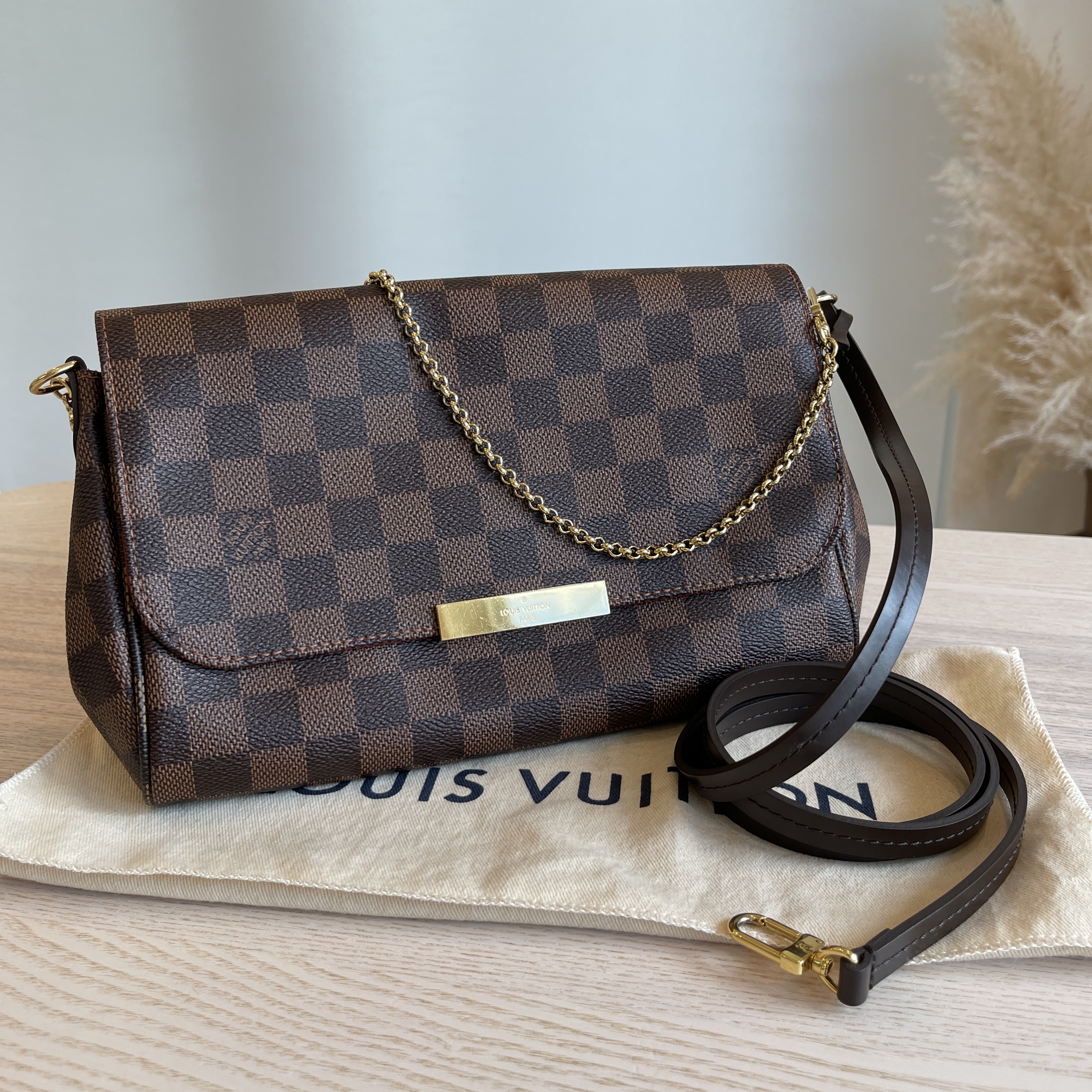 Louis Vuitton Damier Ebene Favorite MM Shoulder Bag