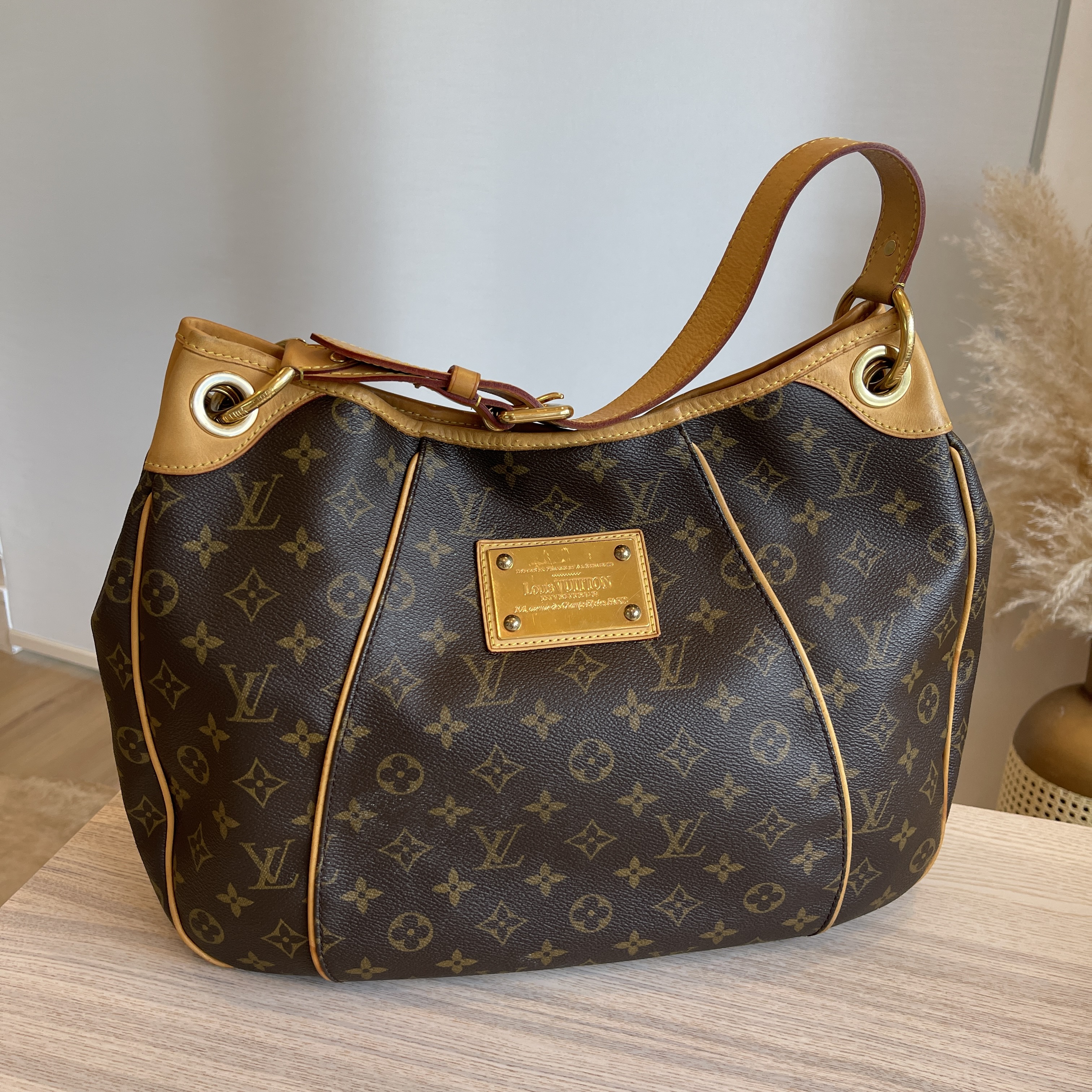 Louis Vuitton Monogram Galliera PM