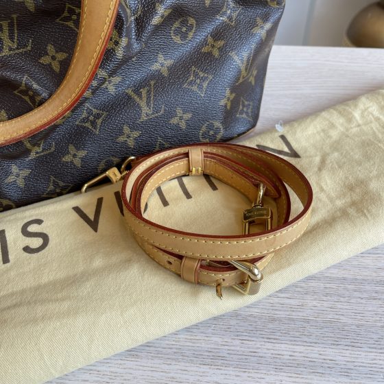 Louis Vuitton Monogram Palermo GM