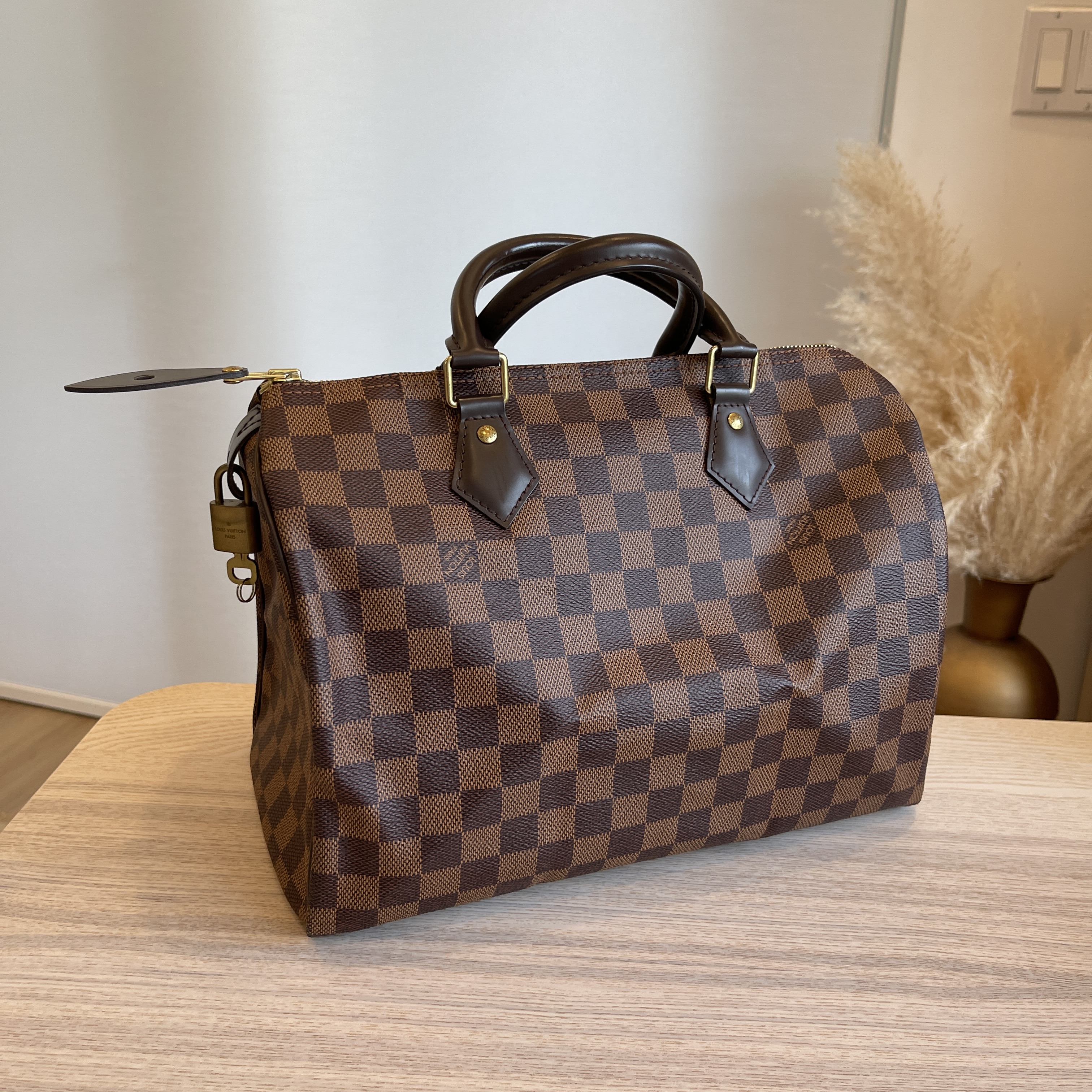 Louis Vuitton Speedy Damier Ebene 30