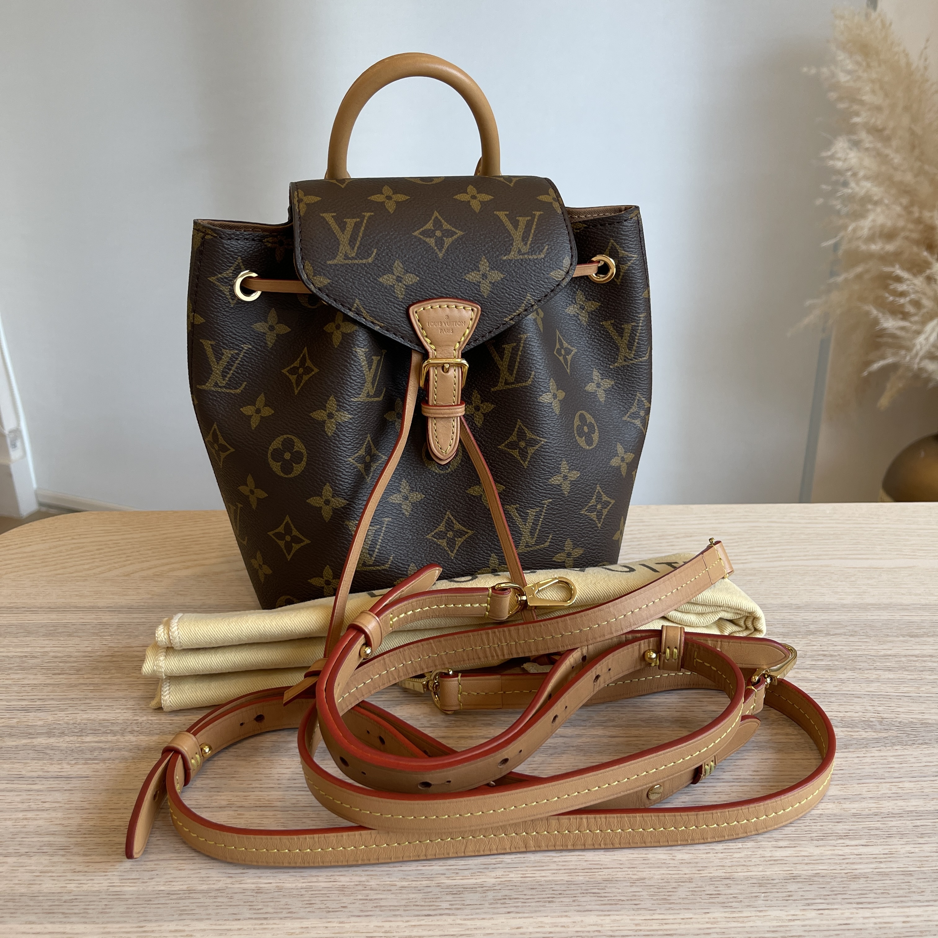 Louis Vuitton Monogram Montsouris BB Backpack