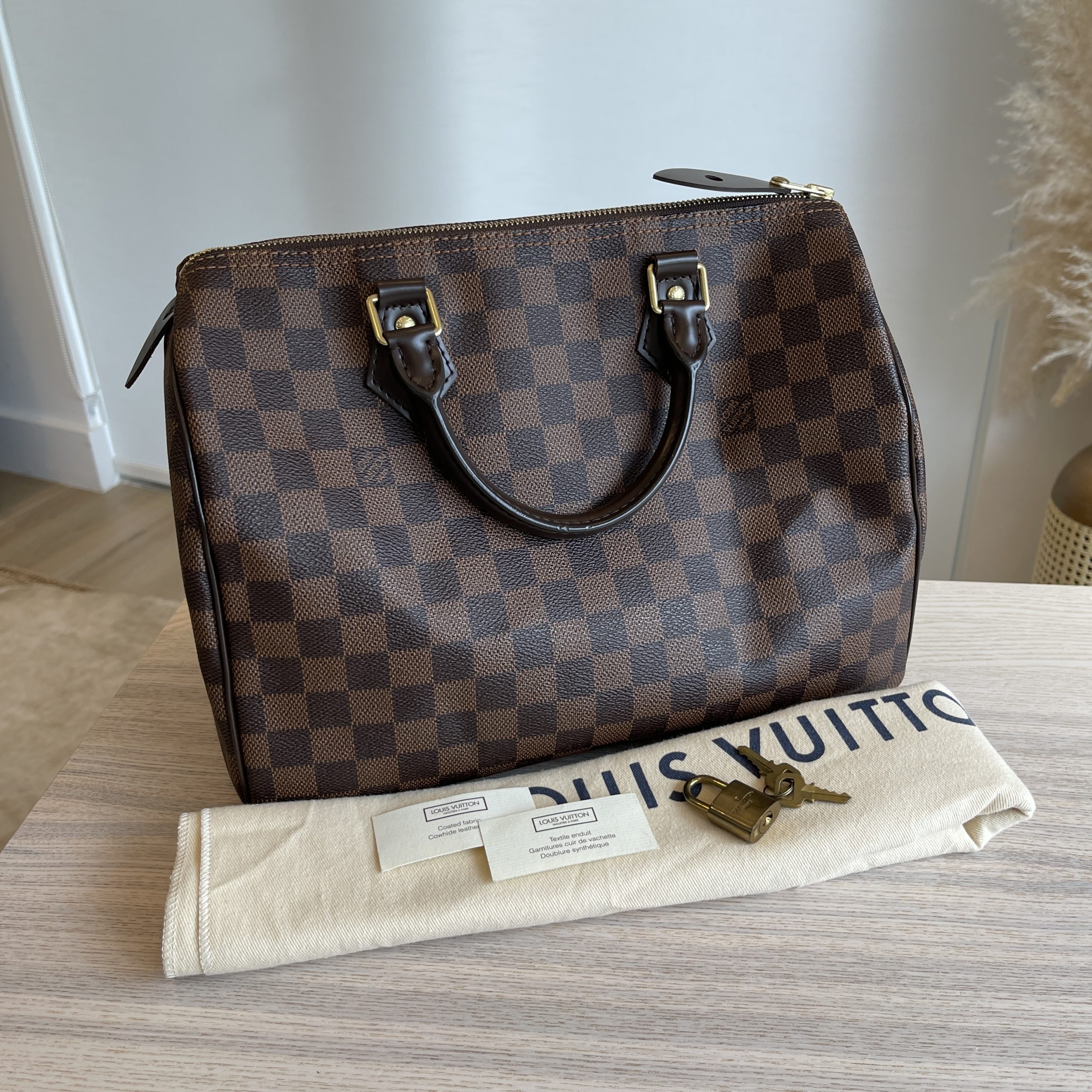 LOUIS VUITTON Damier Ebene Mini Speedy Hand Bag SP Order LV Auth 23260A