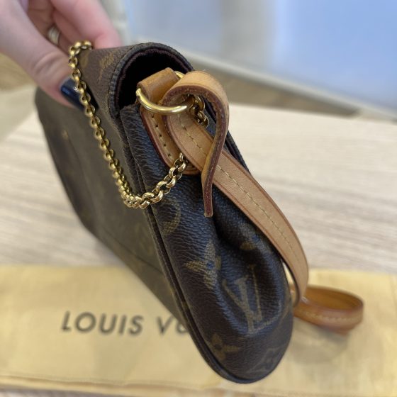 Louis Vuitton Monogram Favorite MM