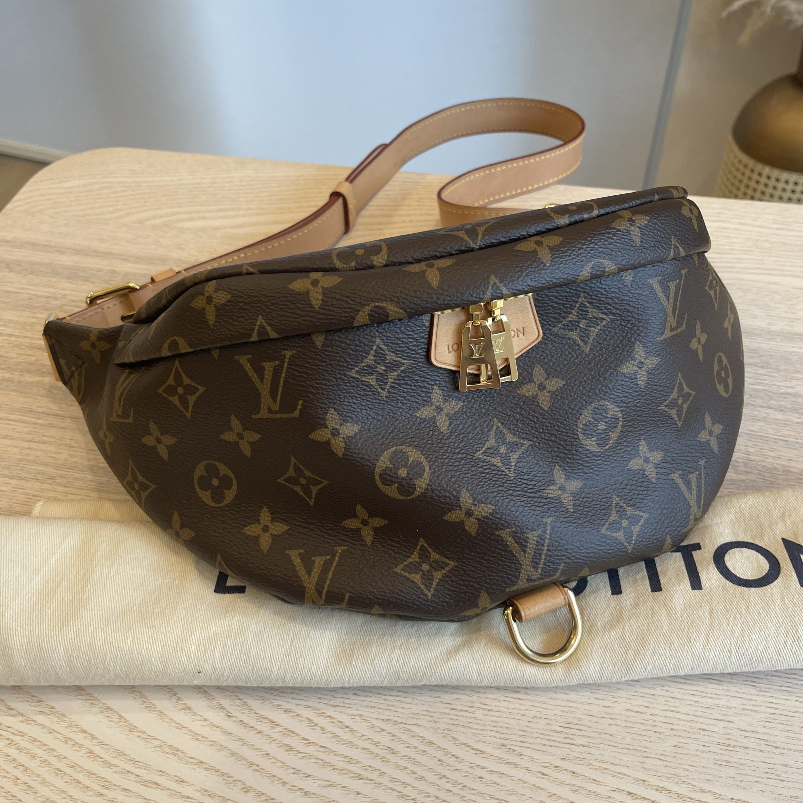 Louis Vuitton Monogram Bumbag