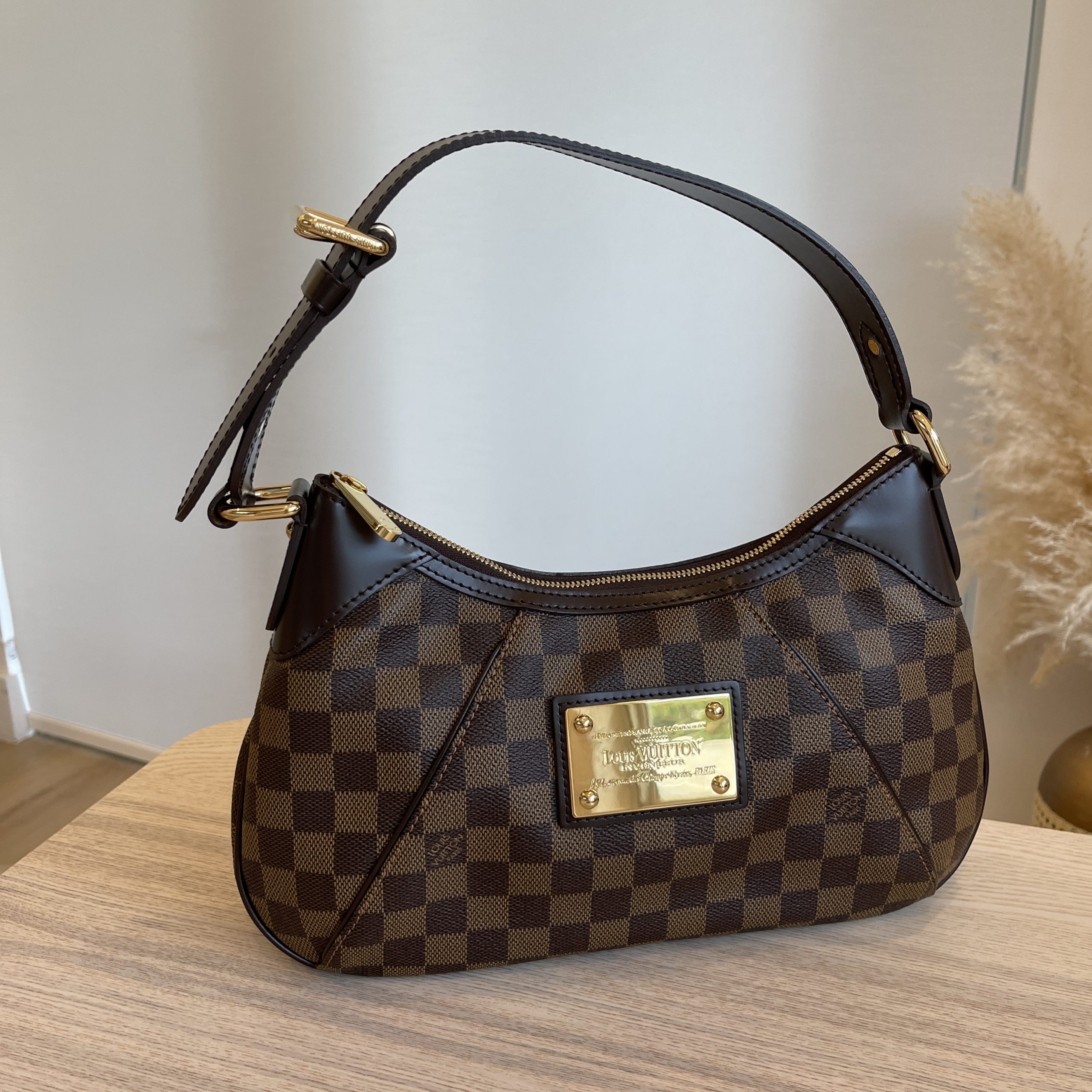 Louis Vuitton Ebene Thames PM Hobo Bag – The Closet