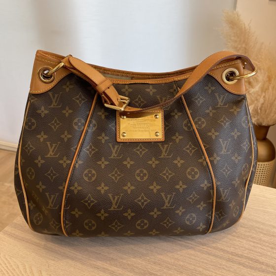 Louis Vuitton Galleria PM Monogram