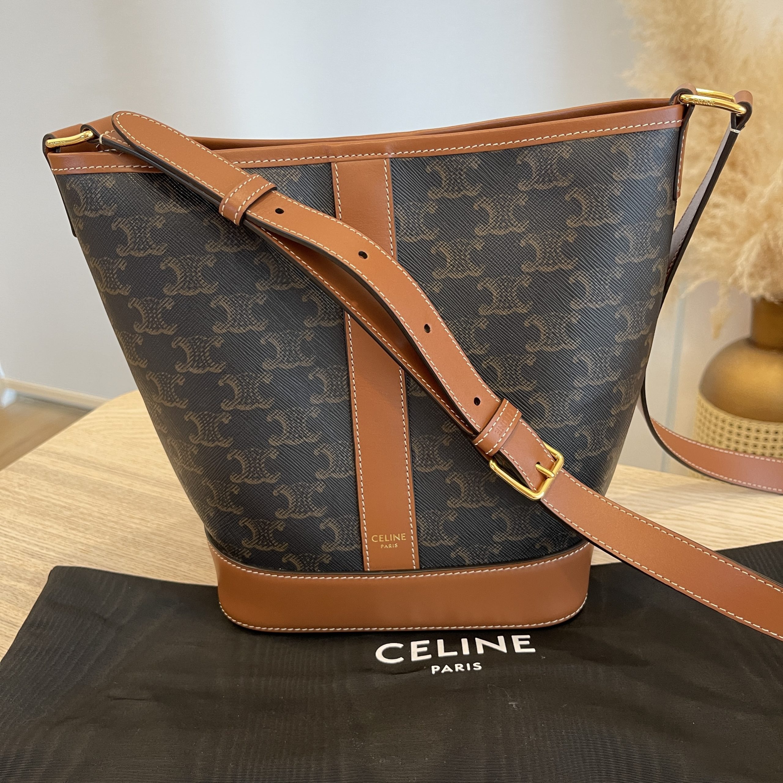 BRAND NEW Celine small bucket in triomphe canvas and calfskin