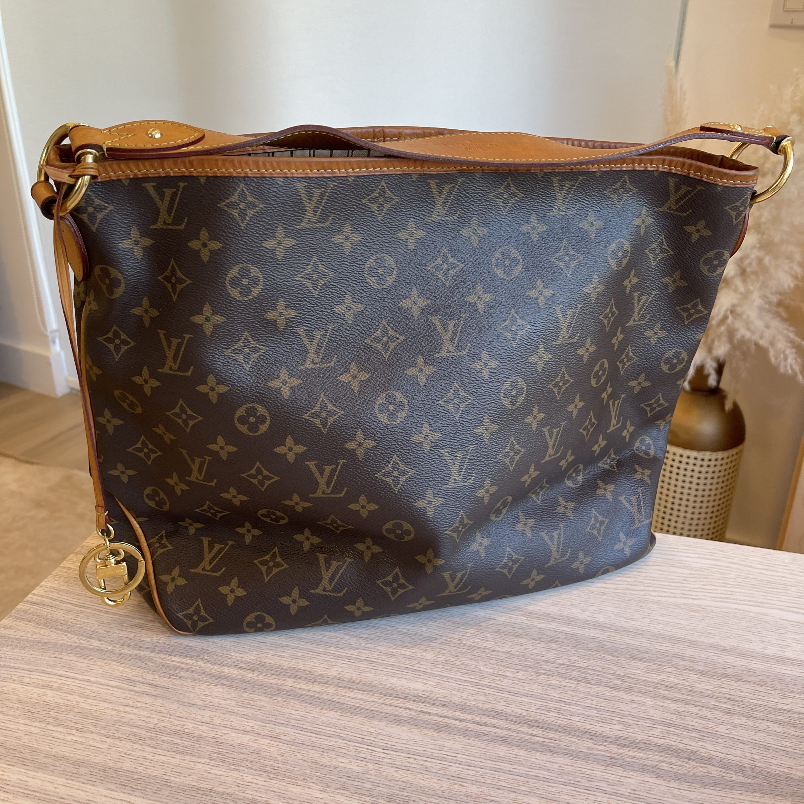 LOUIS VUITTON Delightful MM