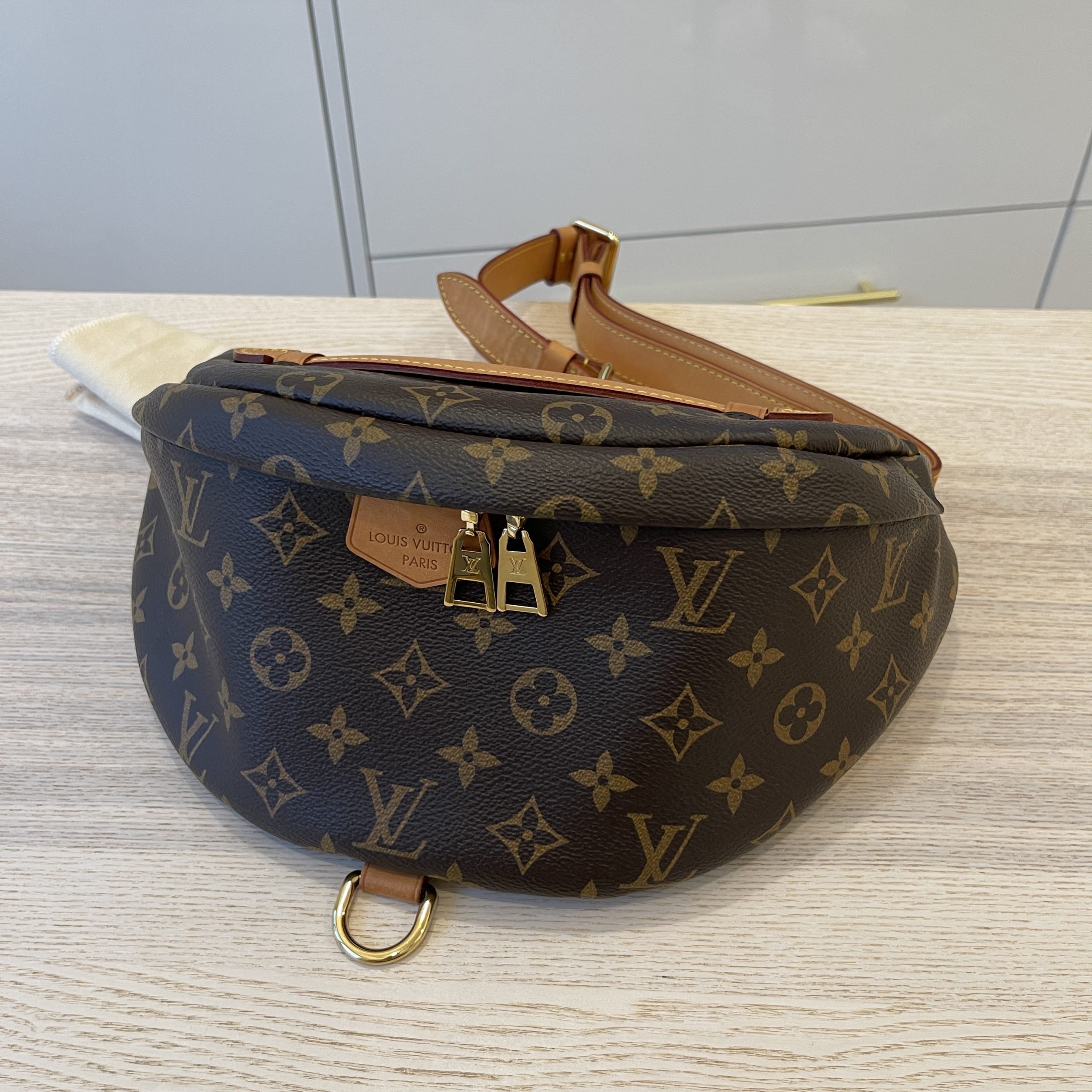 Louis Vuitton Monogram Bumbag