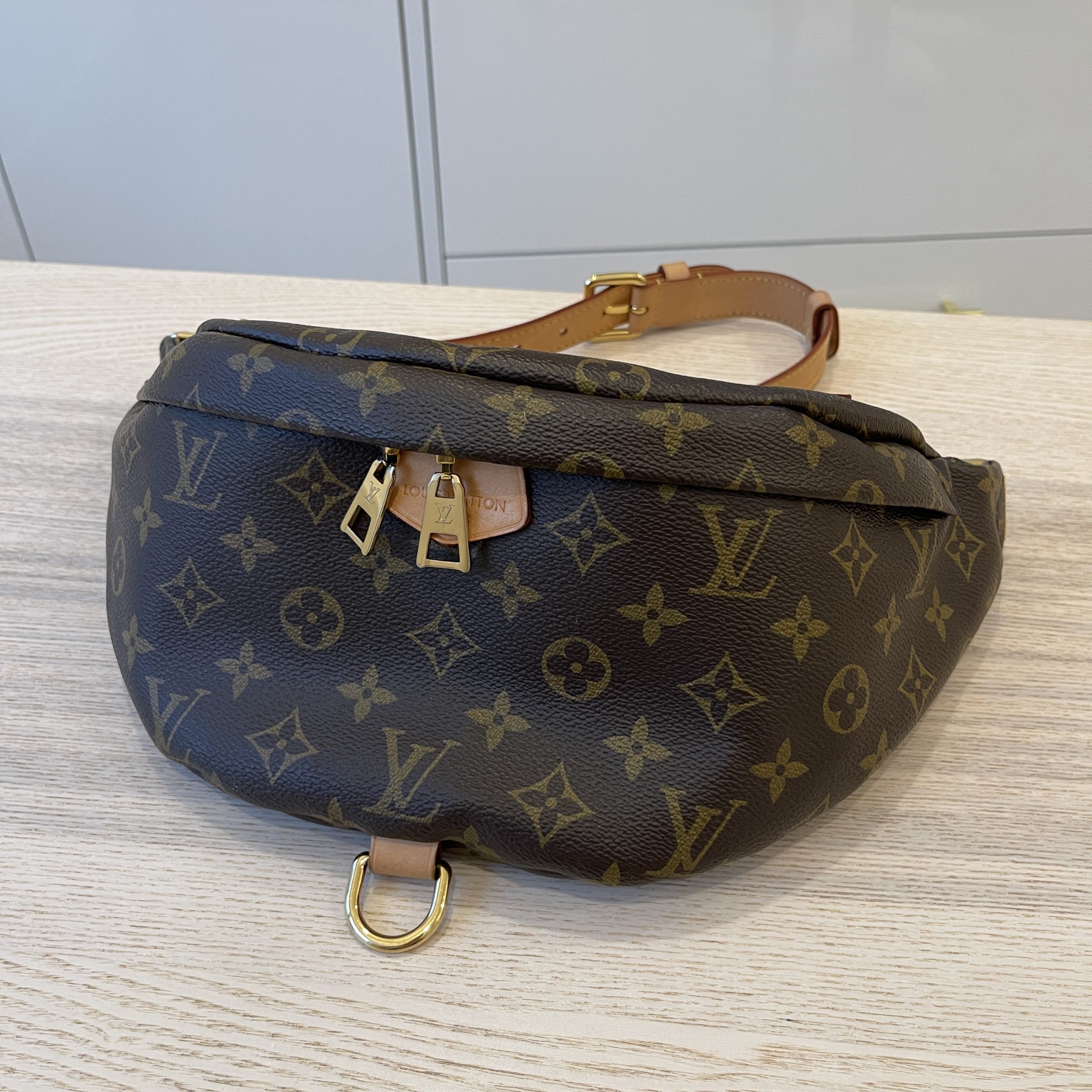 Louis Vuitton Monogram Bumbag