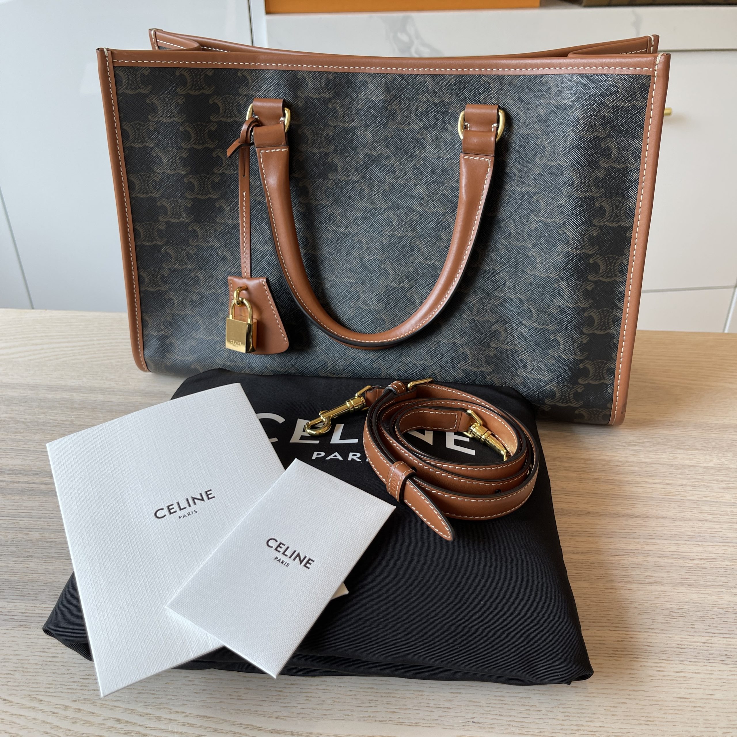 BAG REVIEW: CELINE MINI VERTICAL CABAS (2022 Edition) 