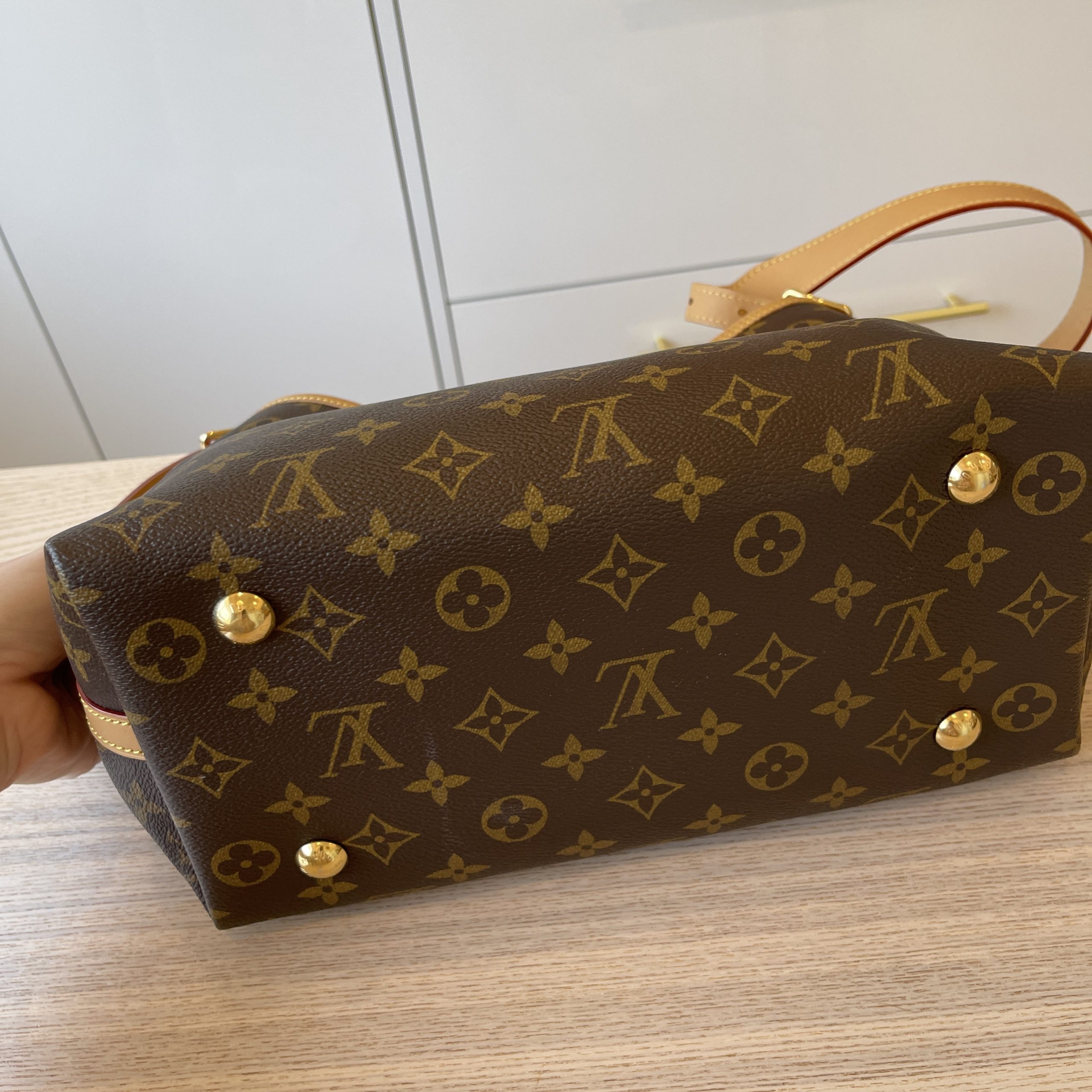 Louis Vuitton PM CarryAll Bag – KJ VIPS