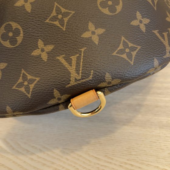 Louis Vuitton Monogram Bumbag