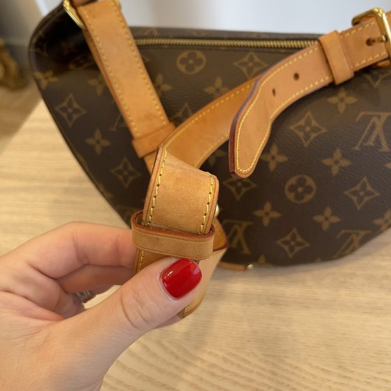Louis Vuitton Monogram Bumbag