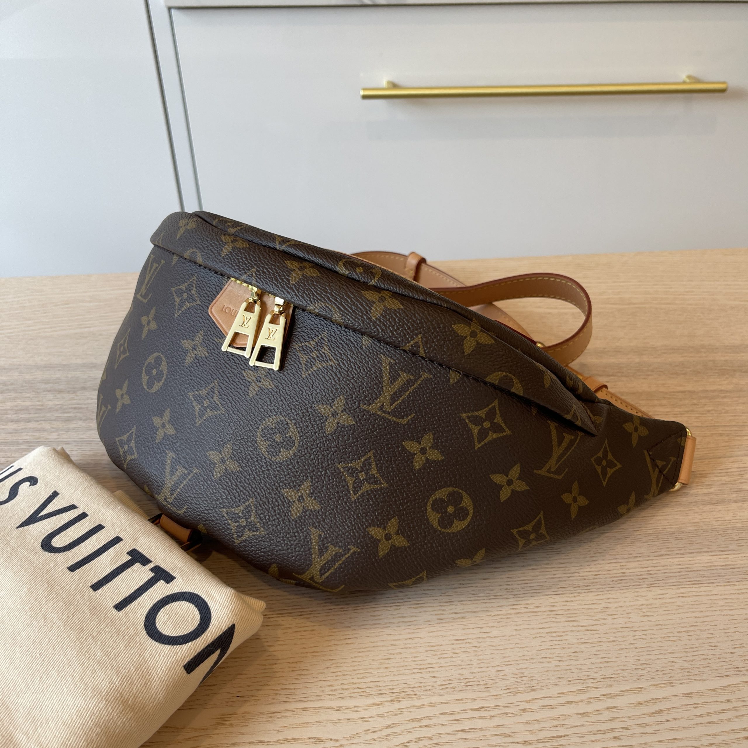 Louis Vuitton Monogram Bumbag