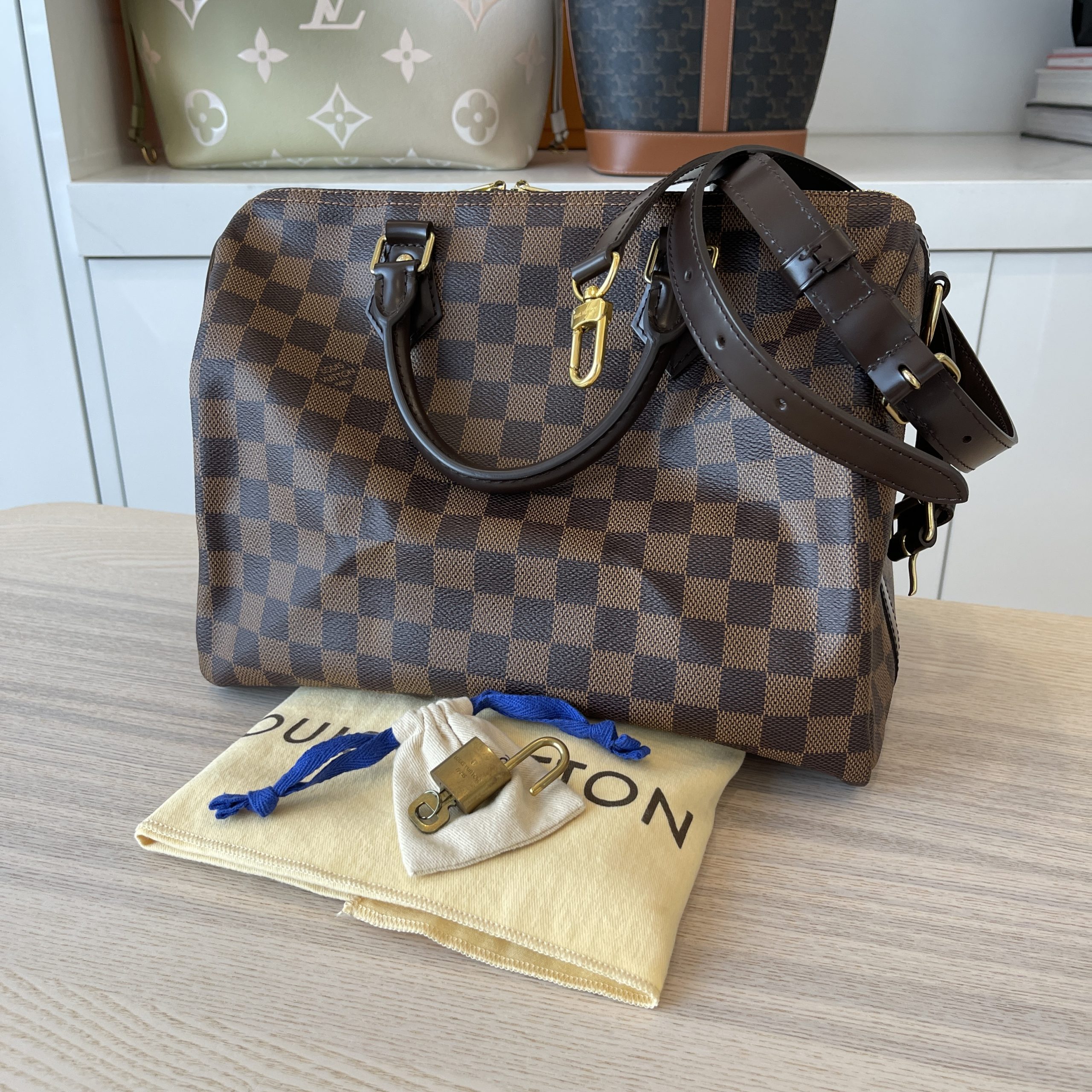 Louis Vuitton Damier Ebene Speedy 30 NM