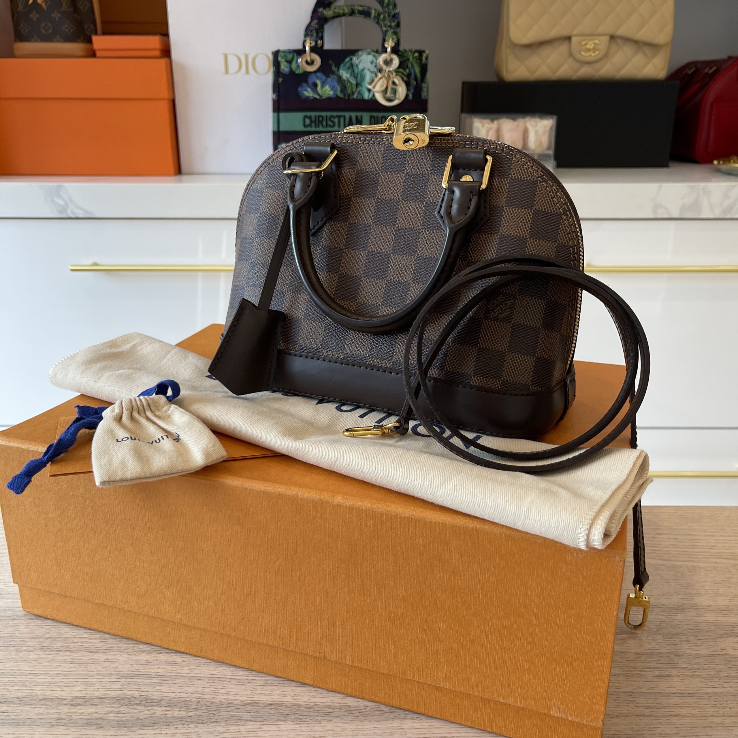 Louis Vuitton Damier Ebene Alma PM Bag